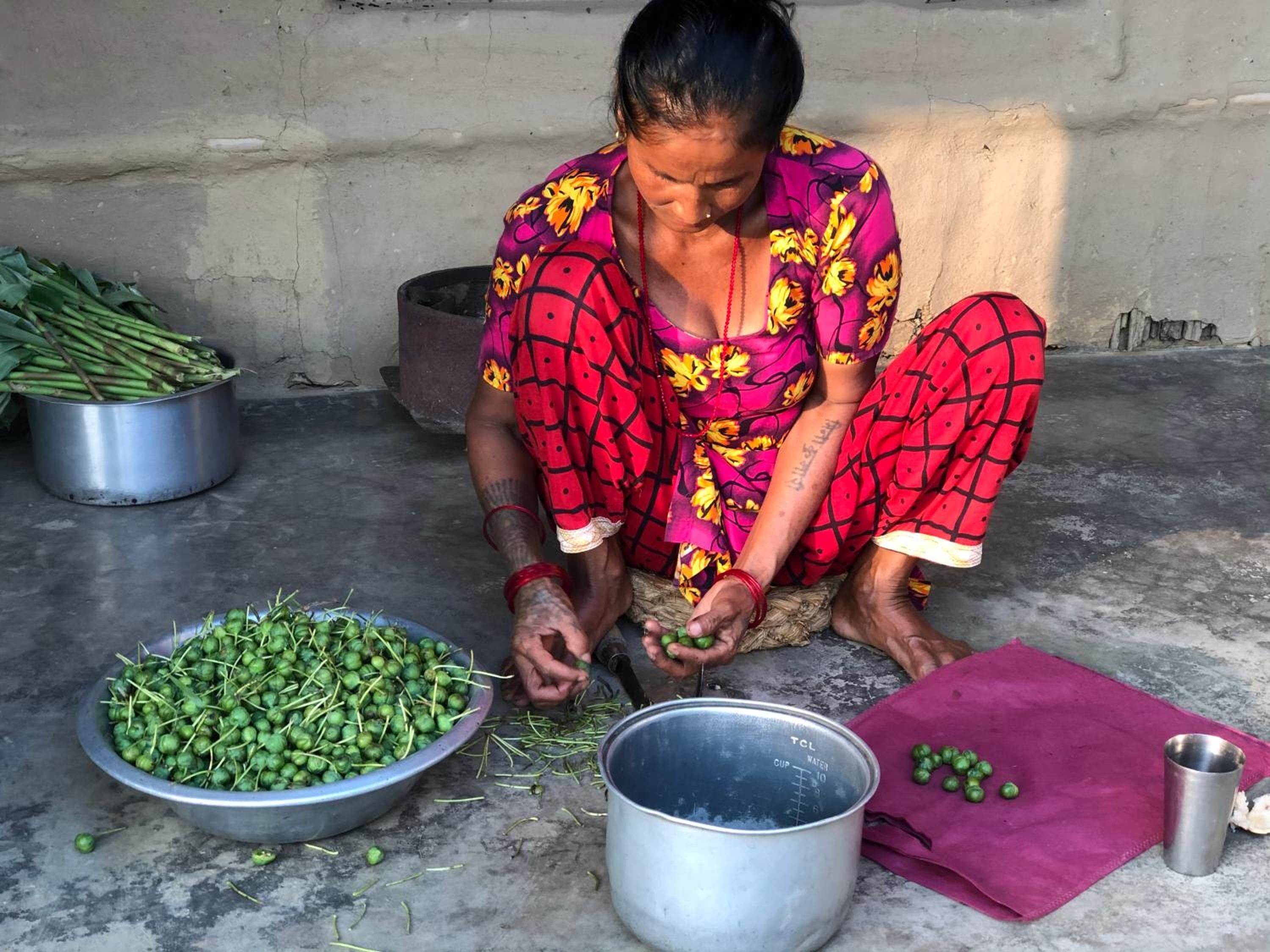 Tharu Community Home Stay