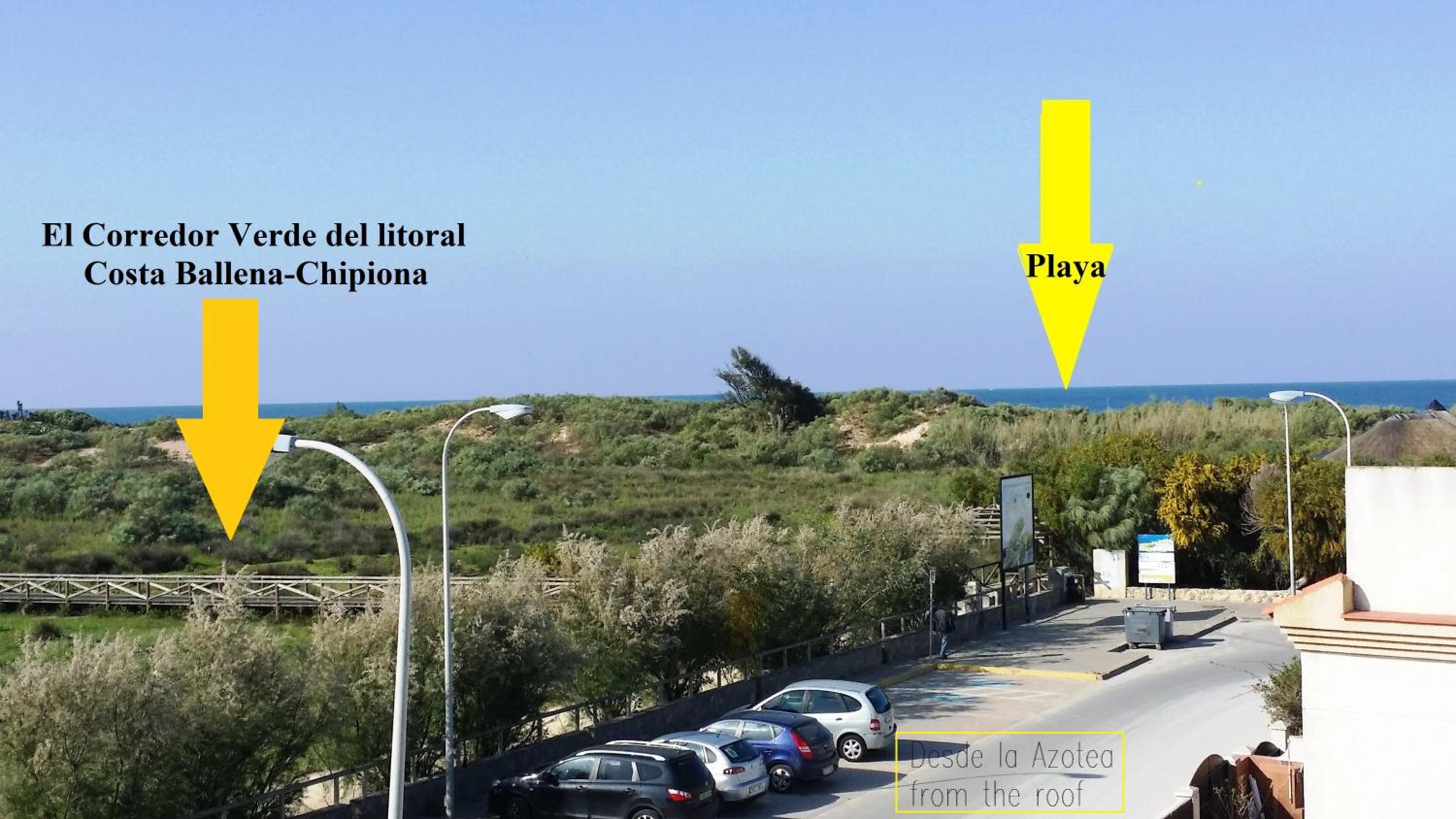 La Pavona 11 - 1ª línea de Playa Chipiona view 2