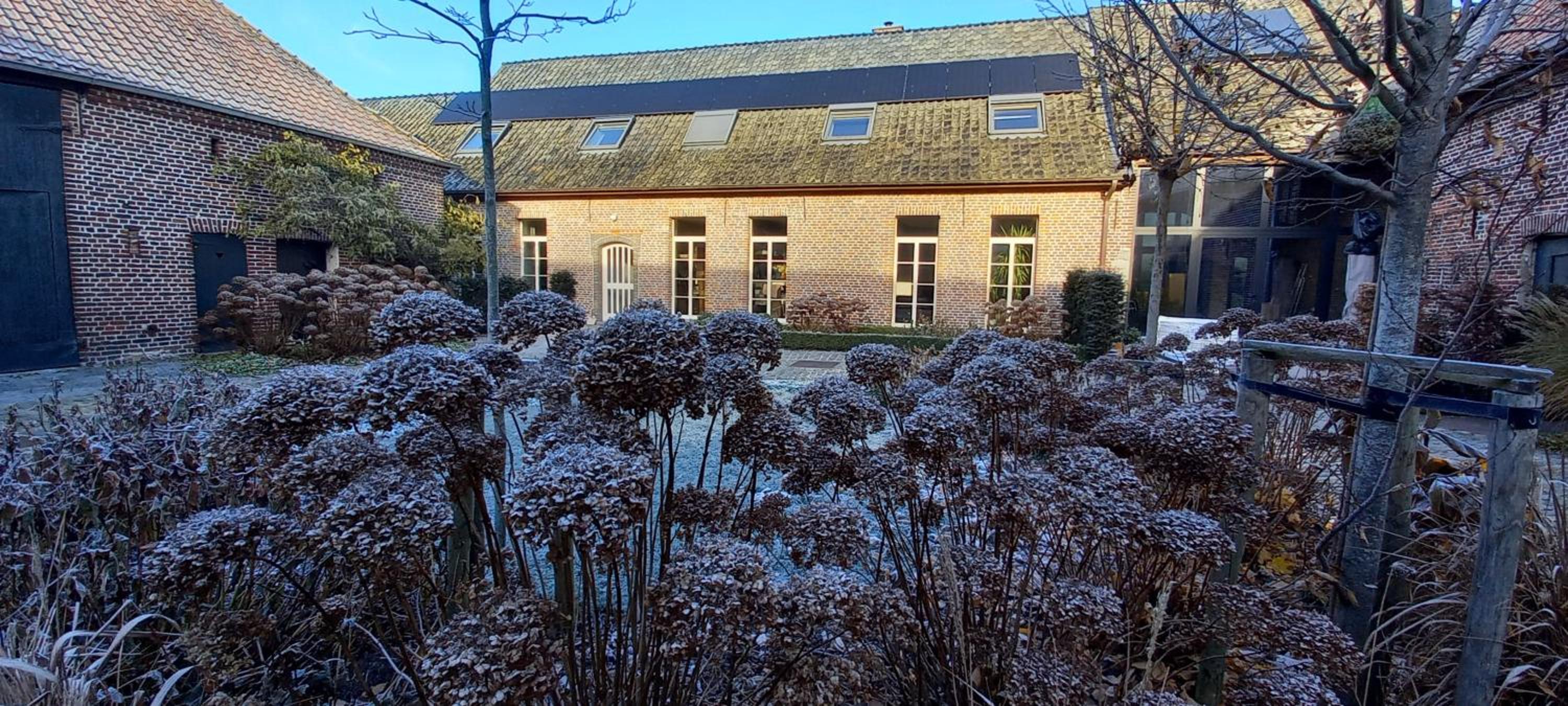 Hermelgemhoeve - Zonnebloem