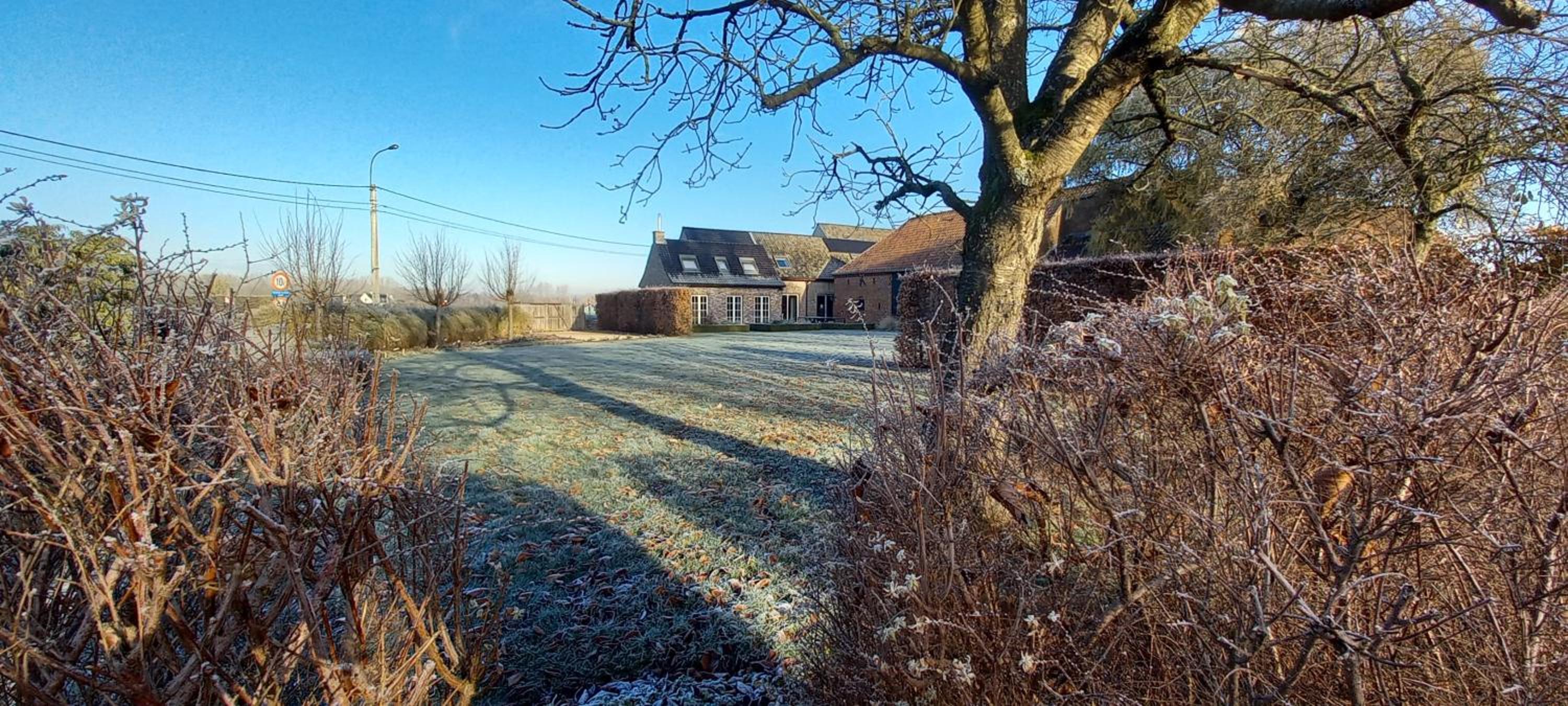 Hermelgemhoeve - Zonnebloem