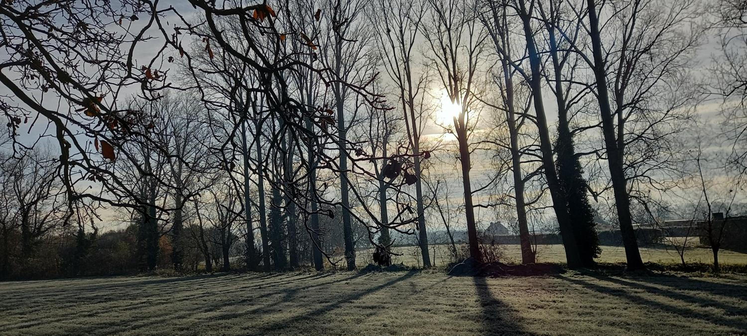 Hermelgemhoeve - Zonnebloem