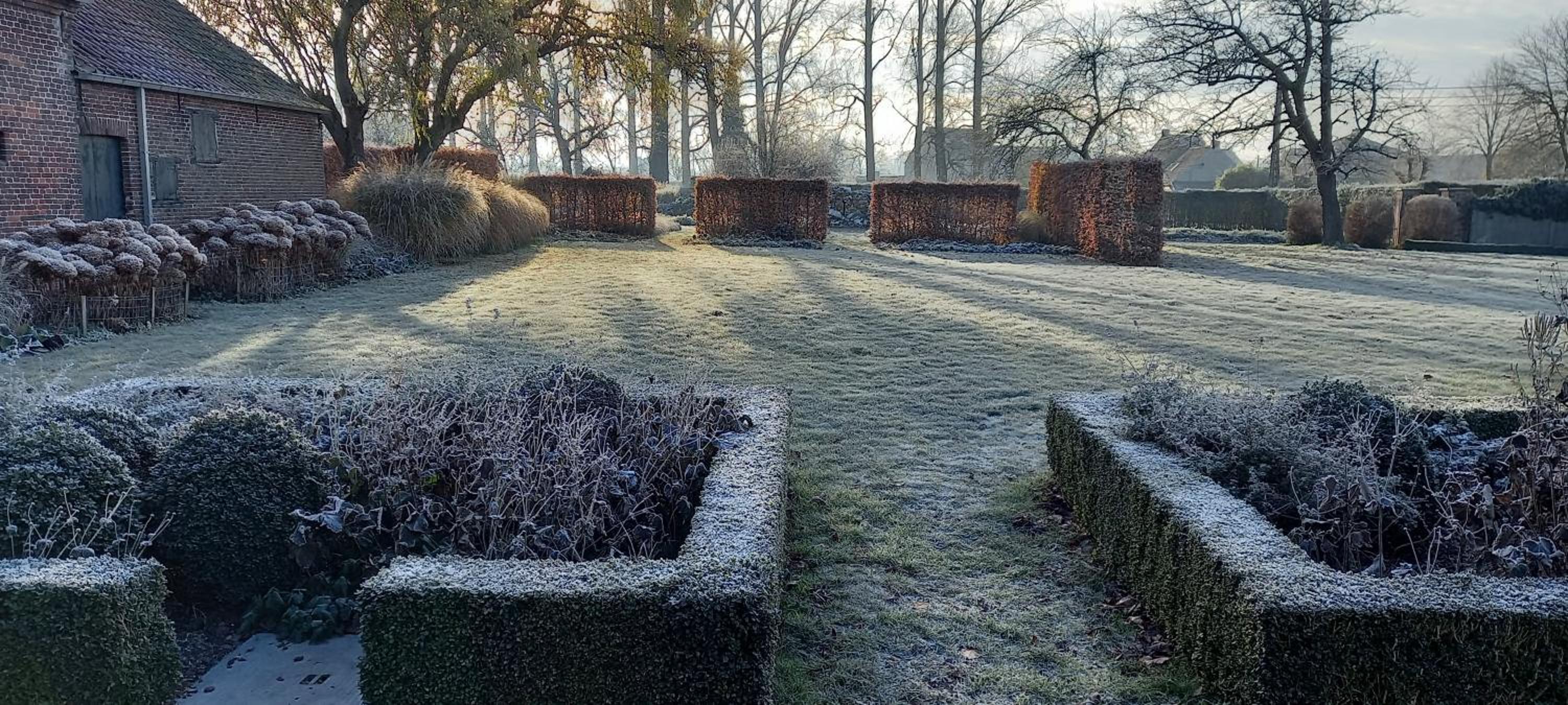 Hermelgemhoeve - Zonnebloem