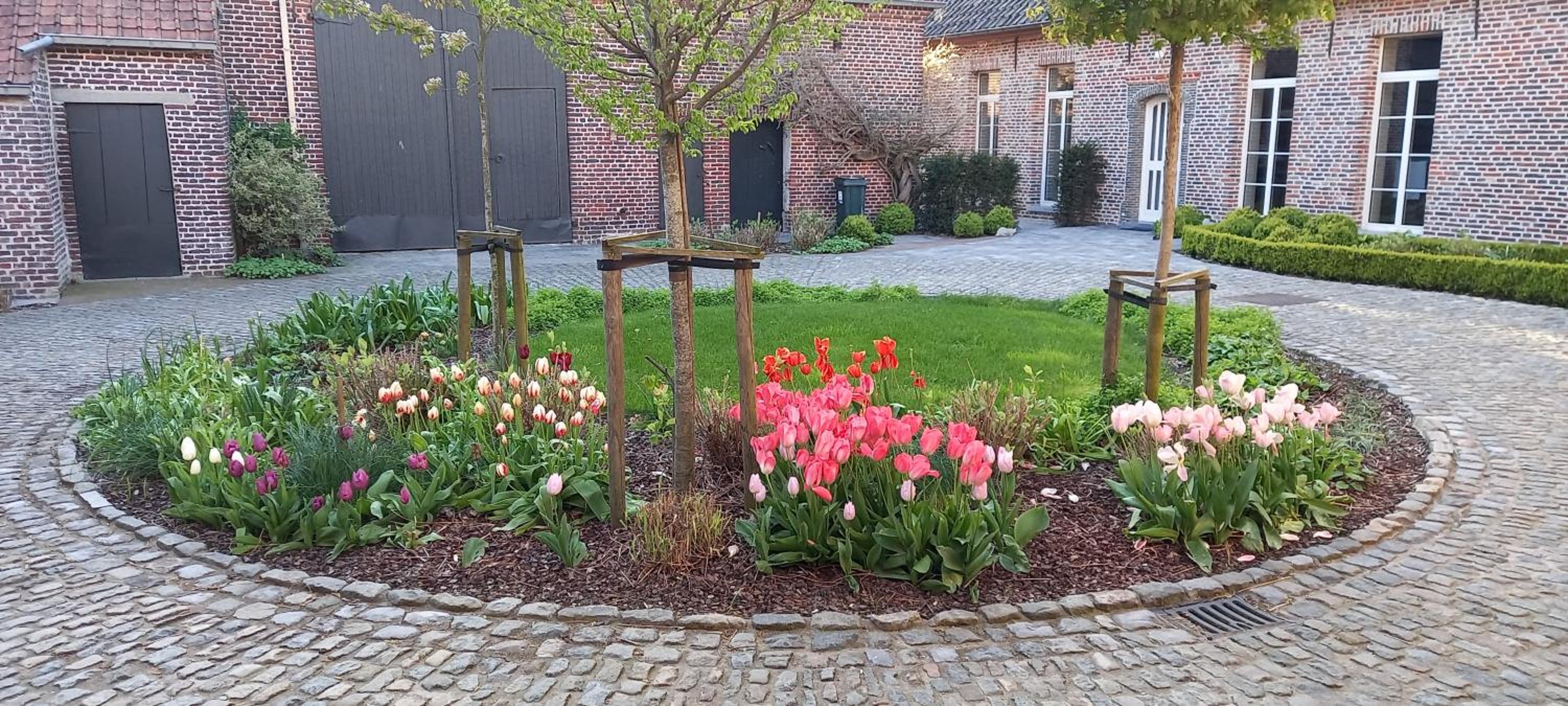Hermelgemhoeve - Zonnebloem