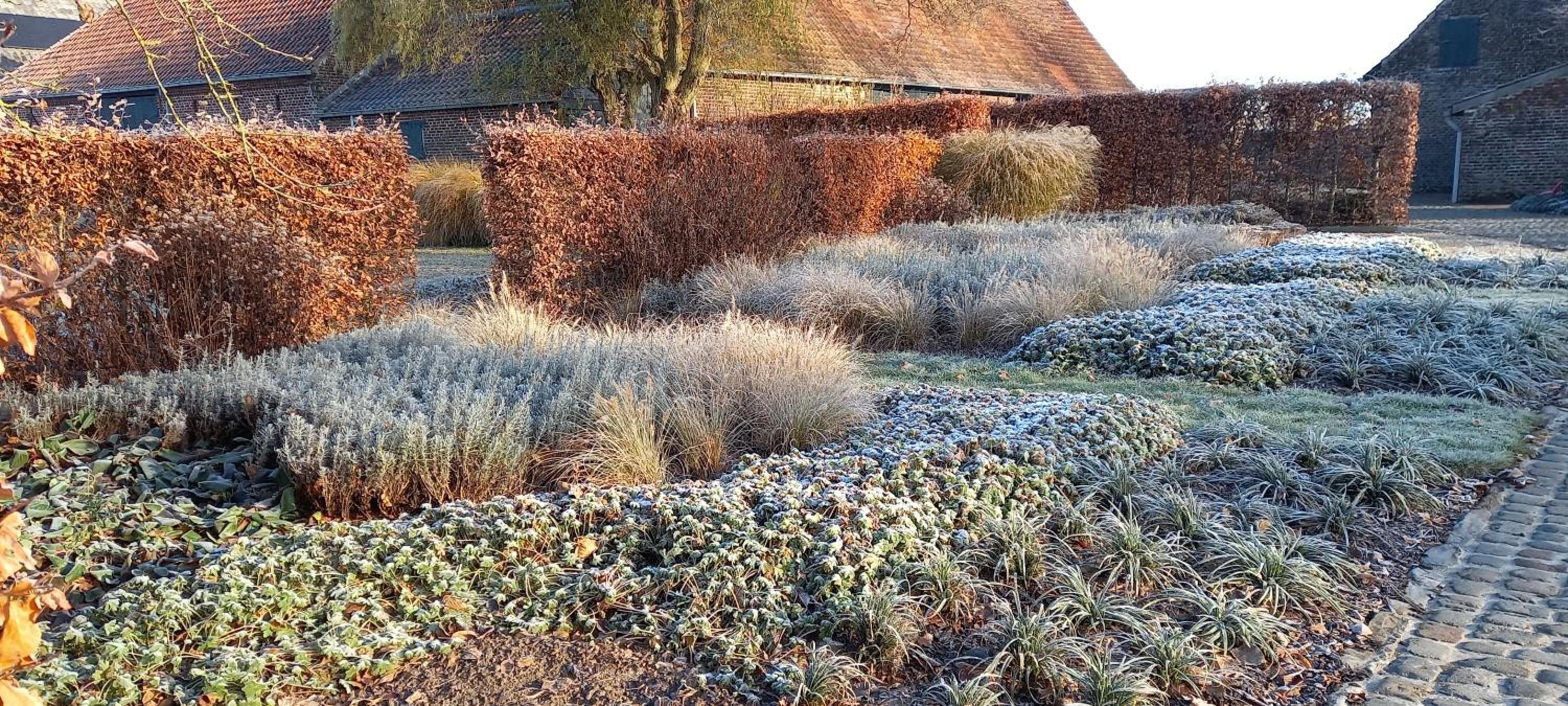 Hermelgemhoeve - Zonnebloem