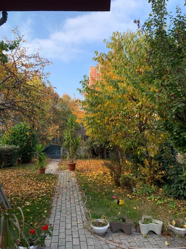 Garden Oasis Apartment view 2
