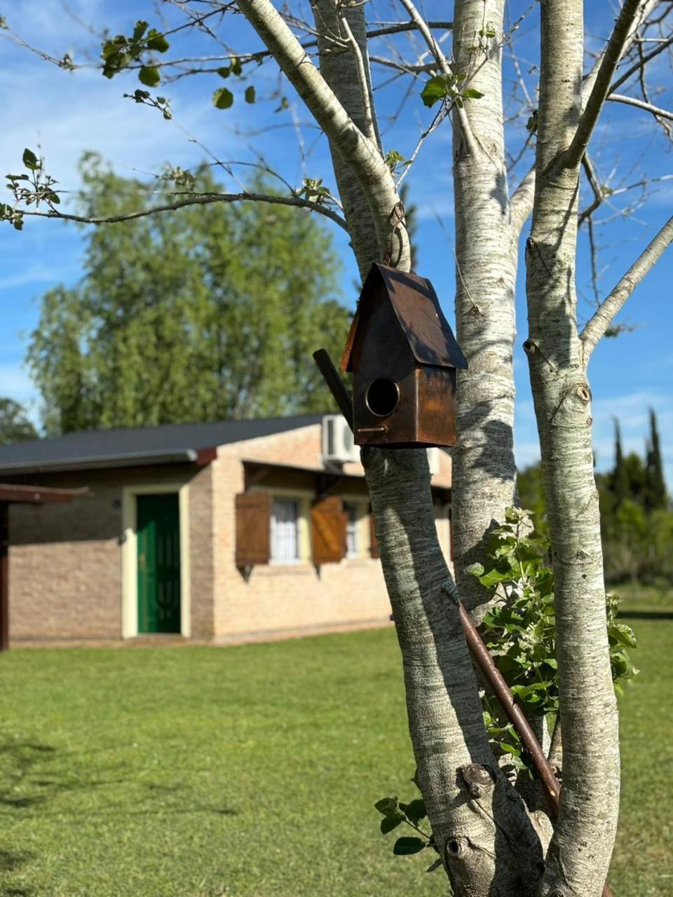 Aroma de campo