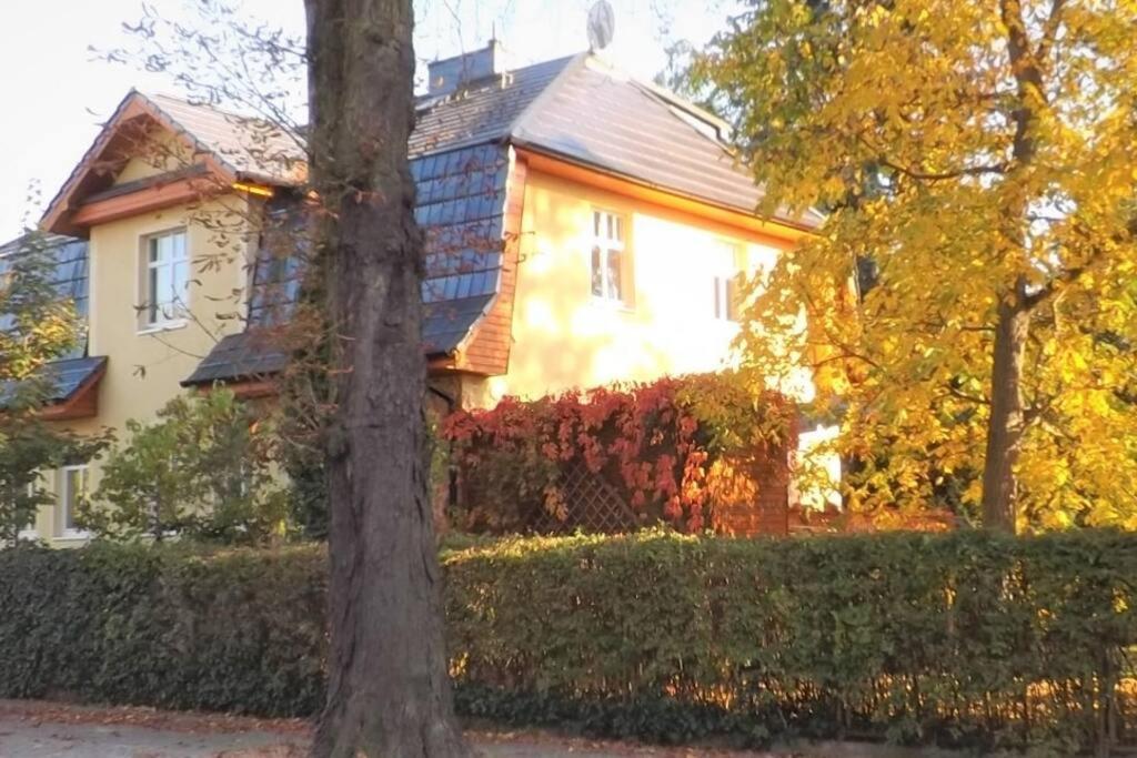 Town-Villa, Apartment, living room with big Sofa bed , 2 bedroom, 1kitchen, 1bathroom, 1 office, 1 garden