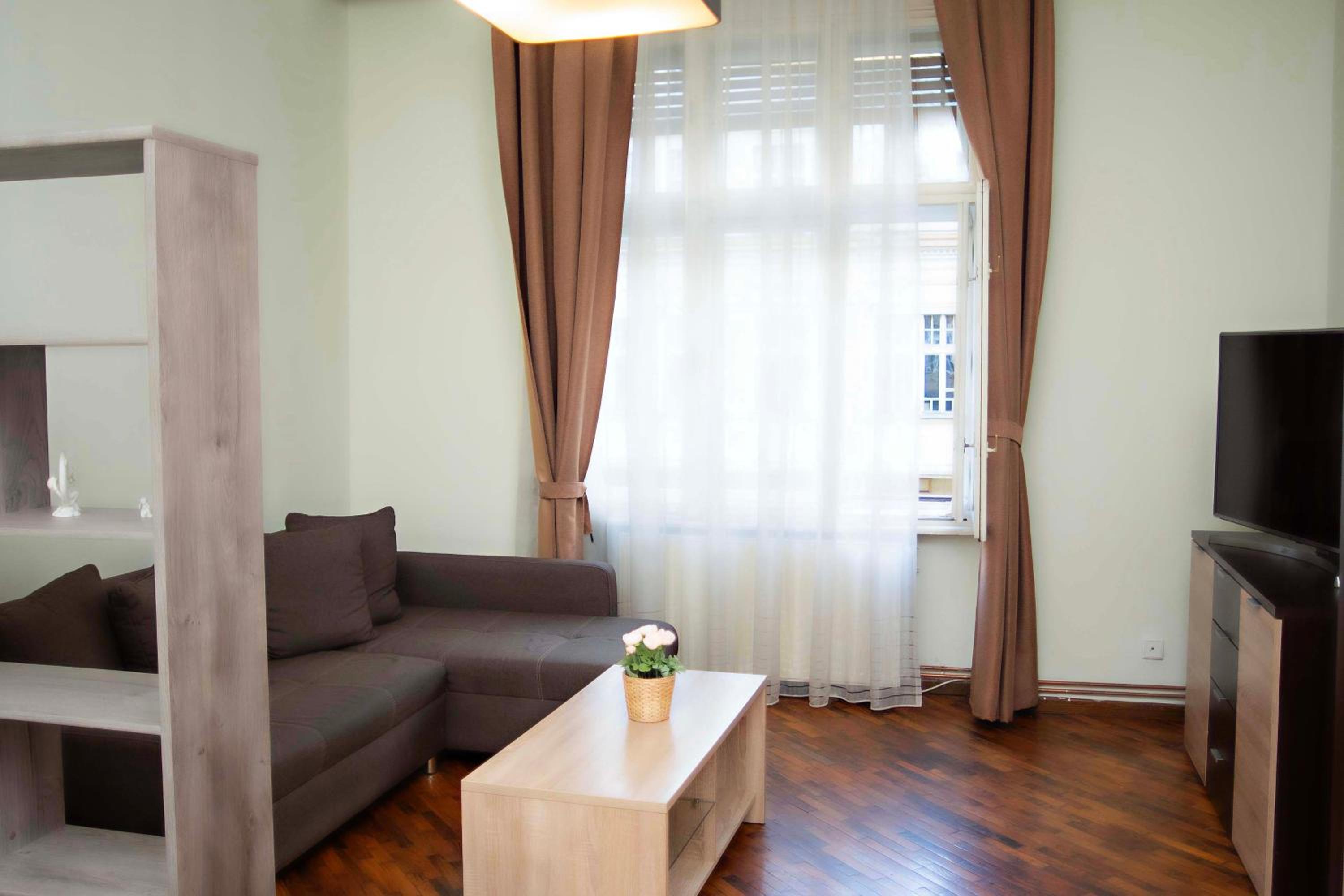 Victoria Palace Apartment view 4