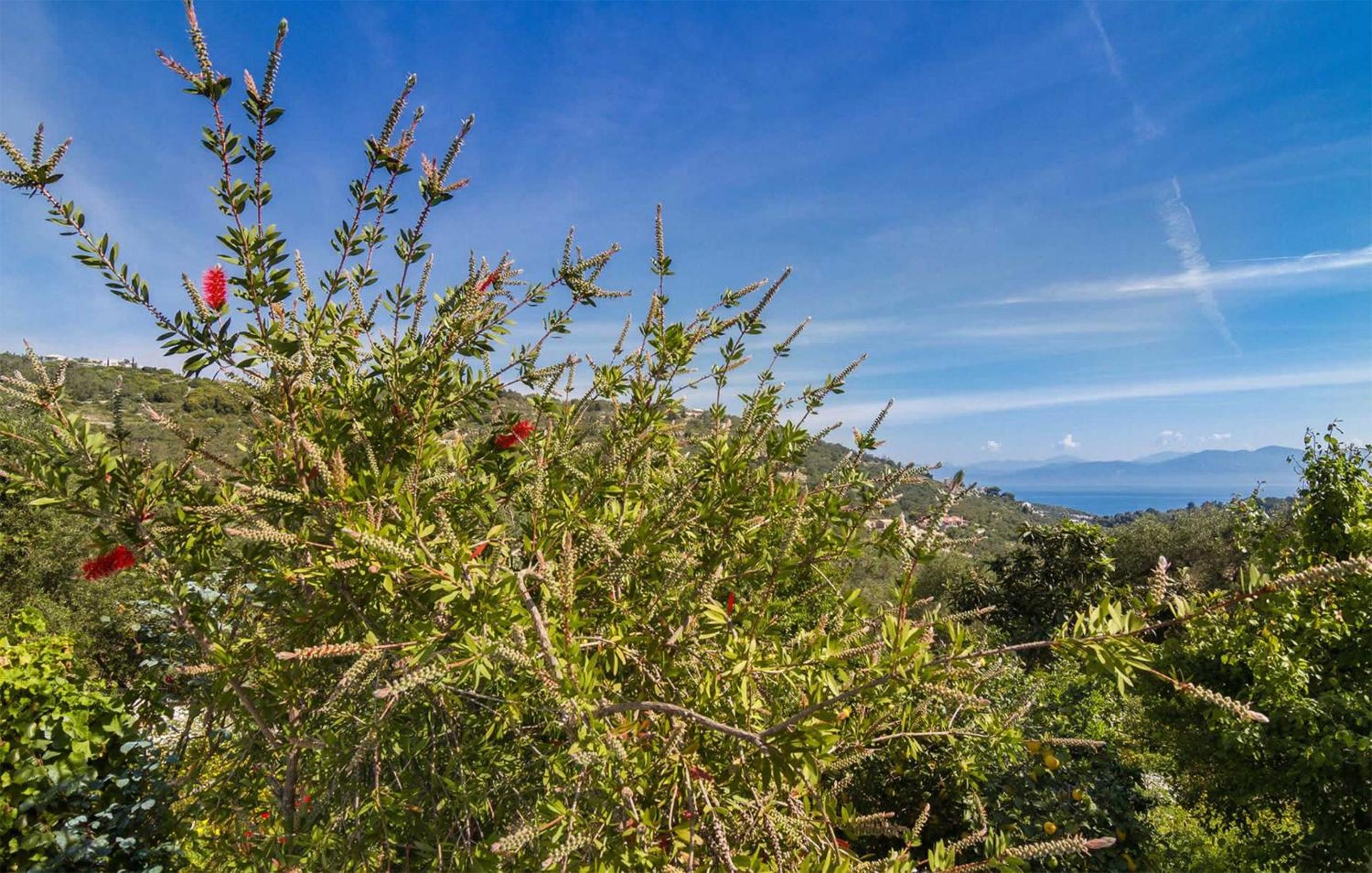Villa Melissa Paxos view 3
