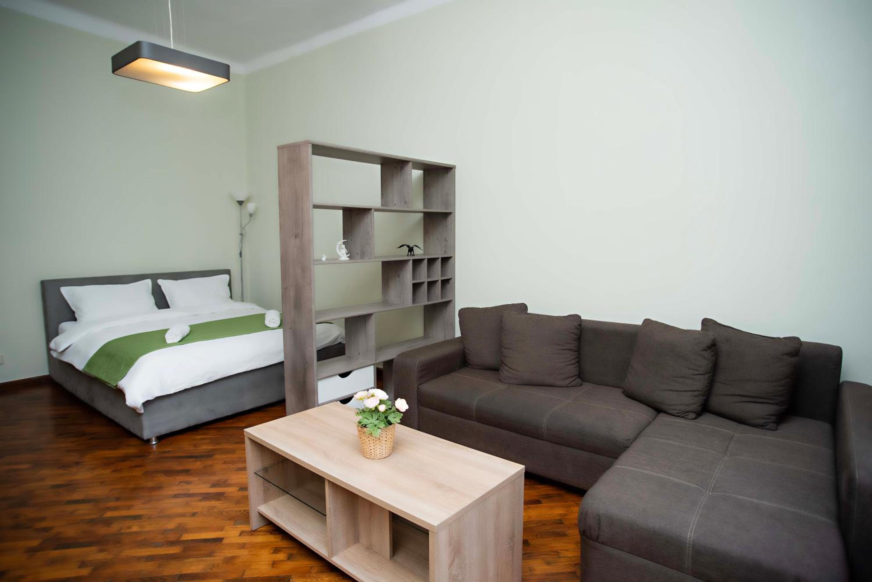 Victoria Palace Apartment view 5