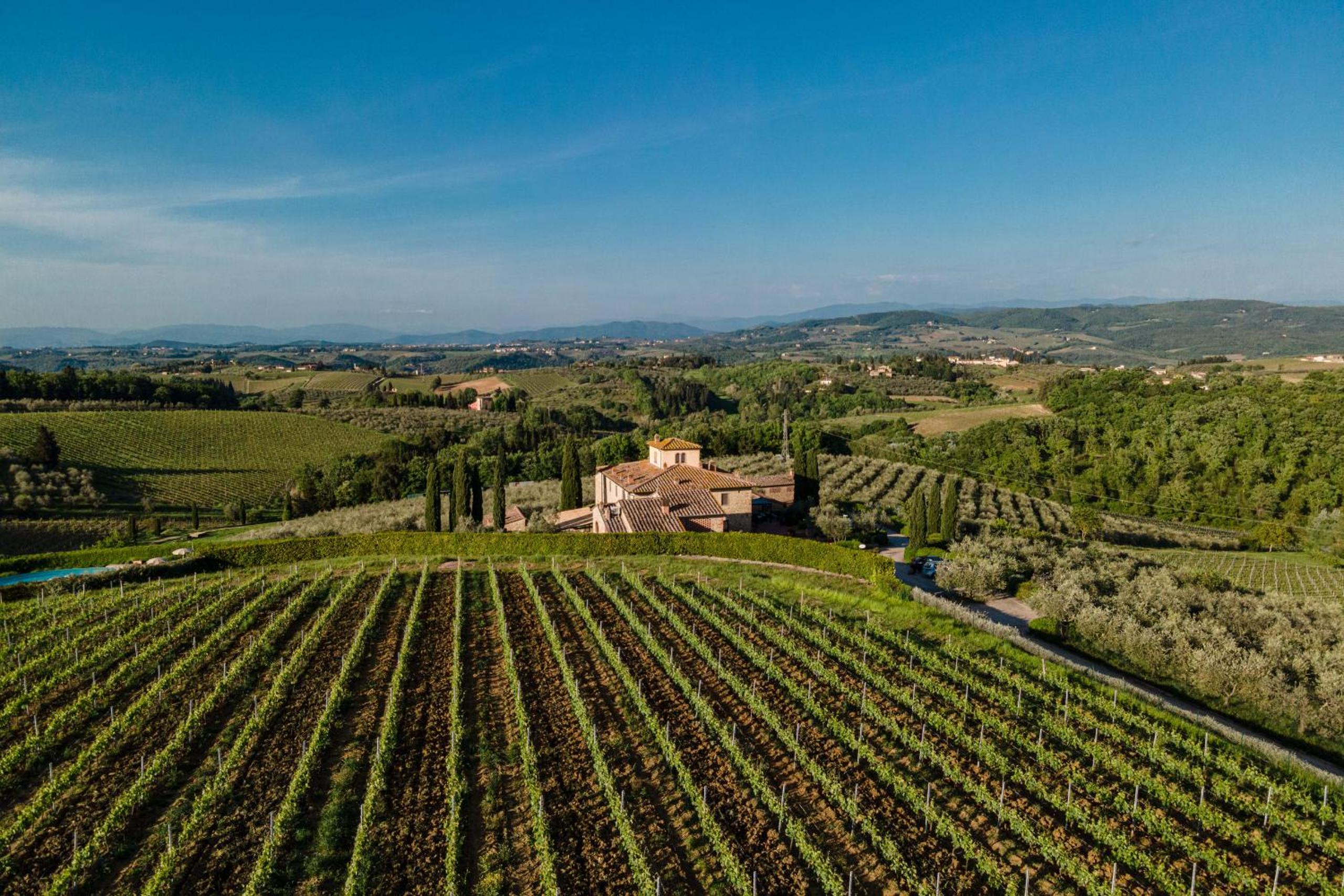 Sole del Chianti