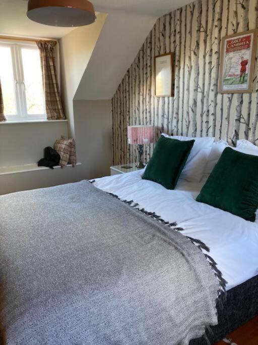Rhedyn - Cosy Fishing Lodge Near Aberaeron view 4