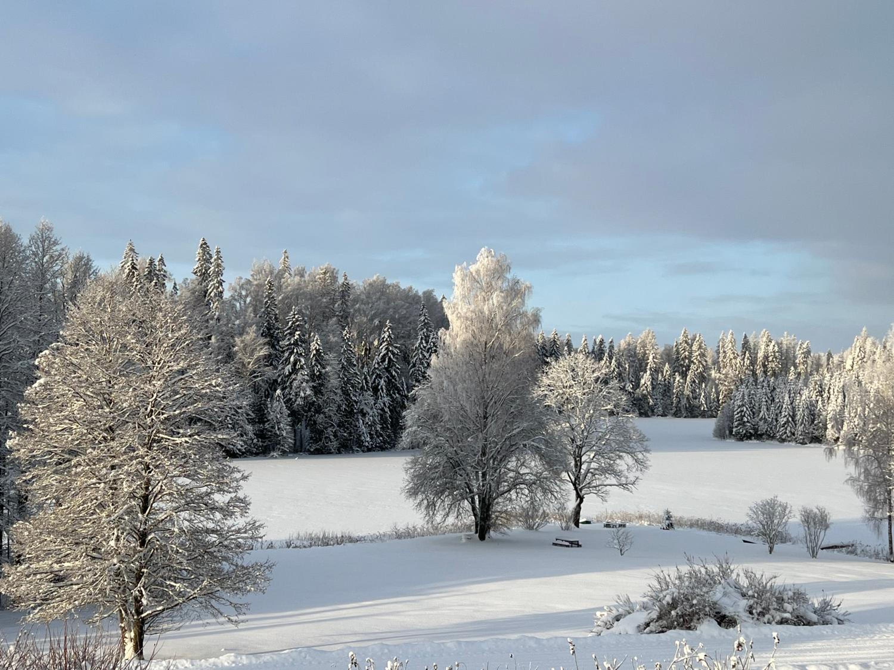 Pie Ezerrozēm view 4