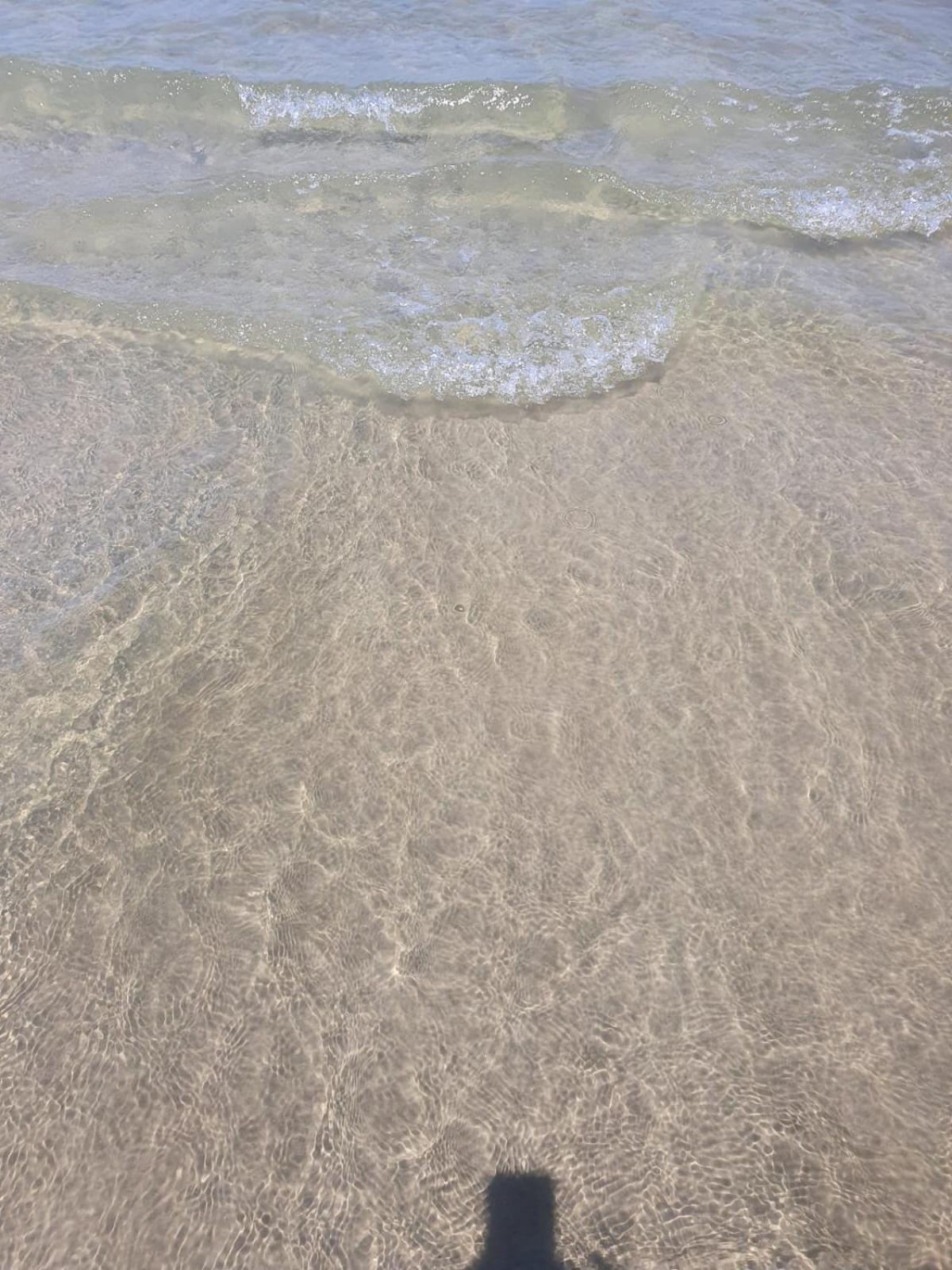 Apê Lar doCe MaR