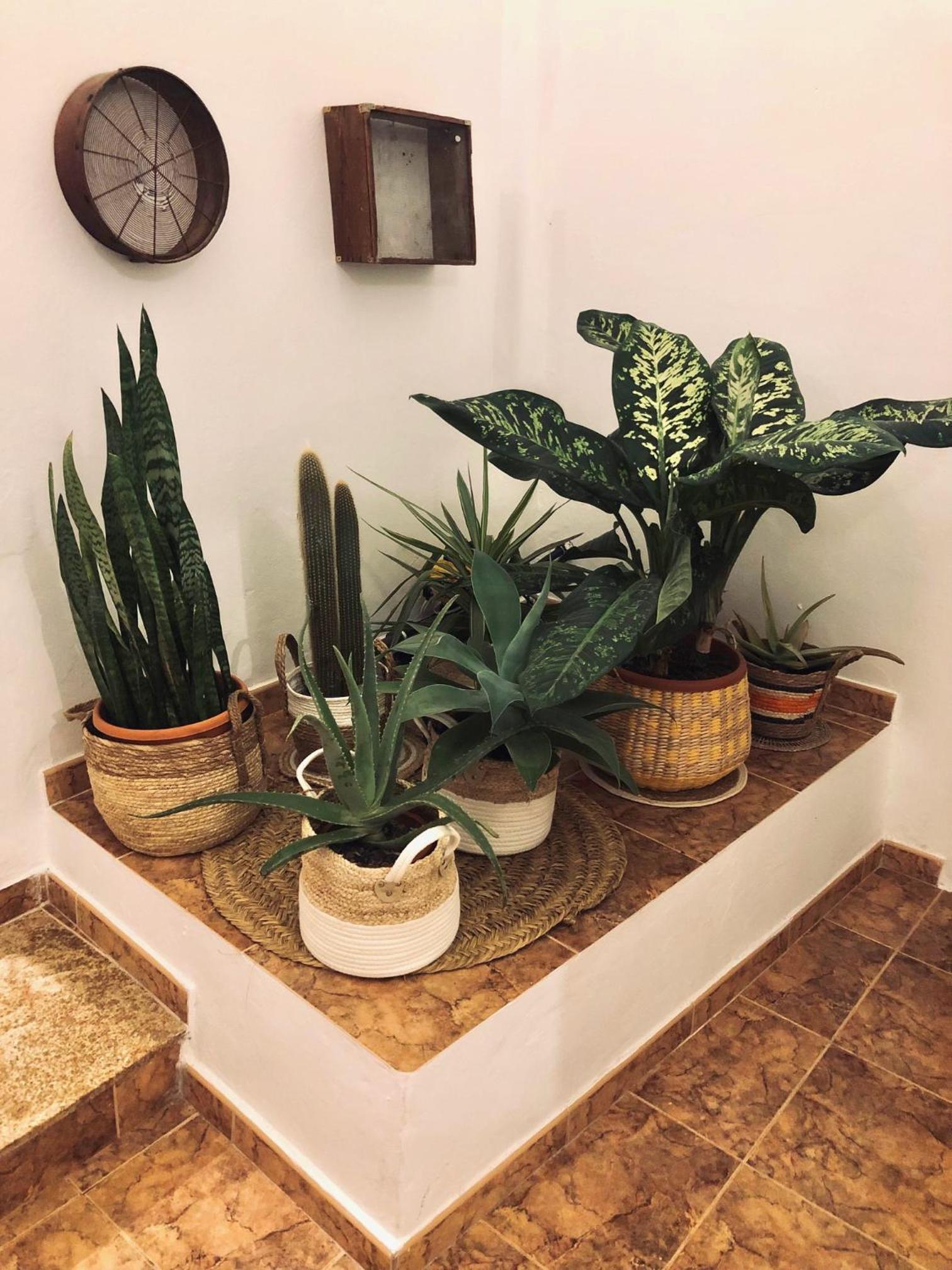 Casita Volcan Lanzarote