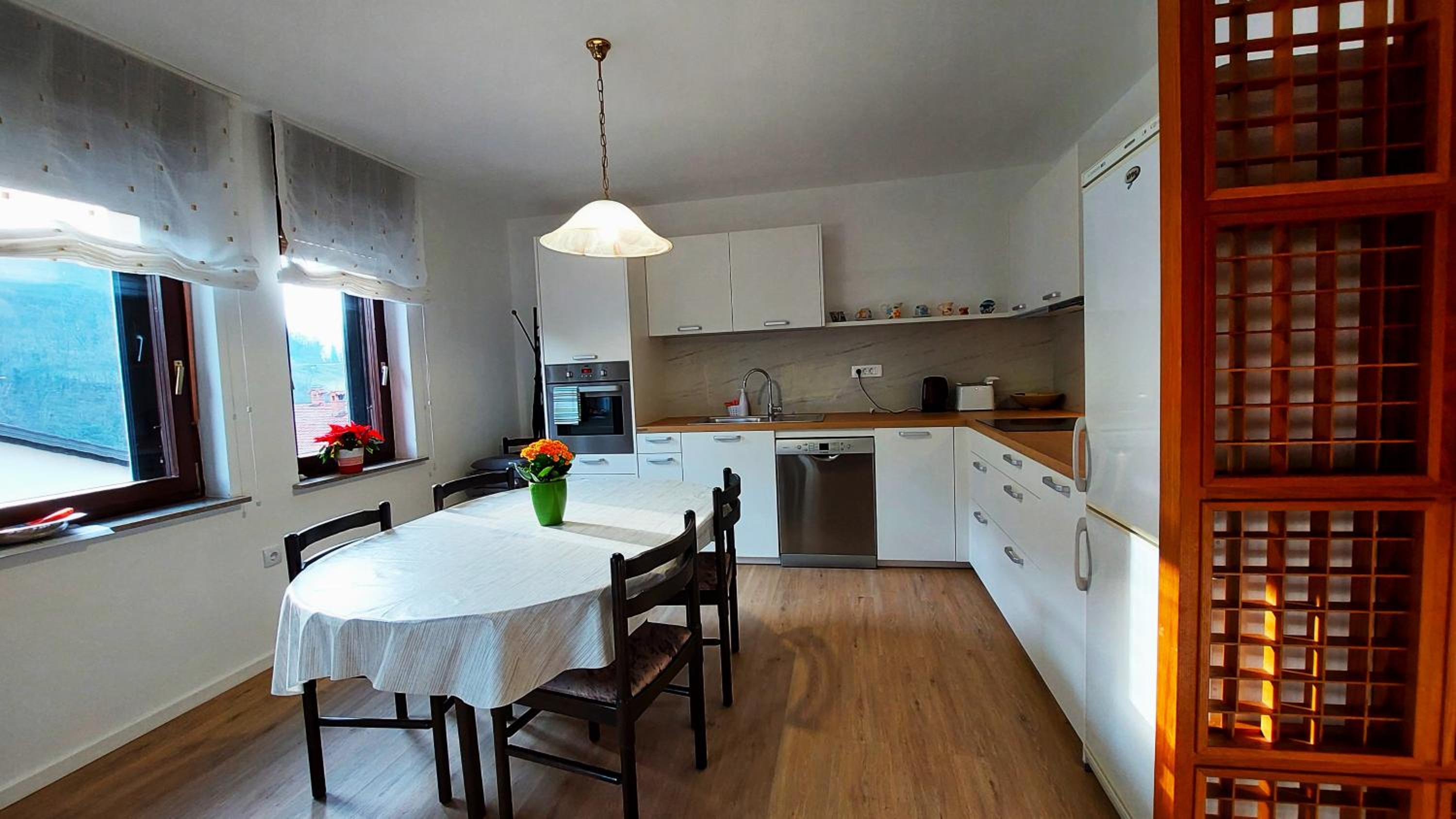 Apartma Mika