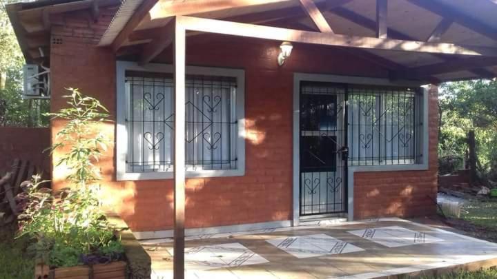 Voces De La Selva Misionera