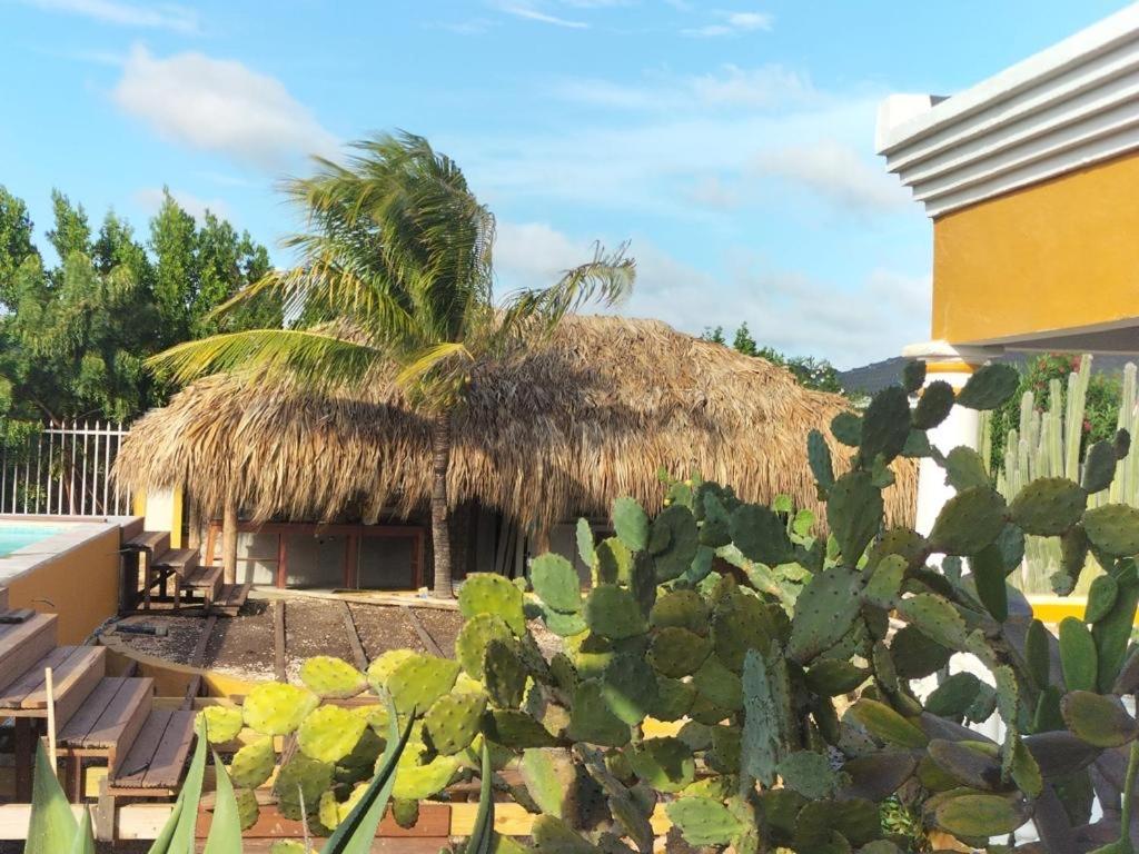 Landhuis Belnem Bonaire