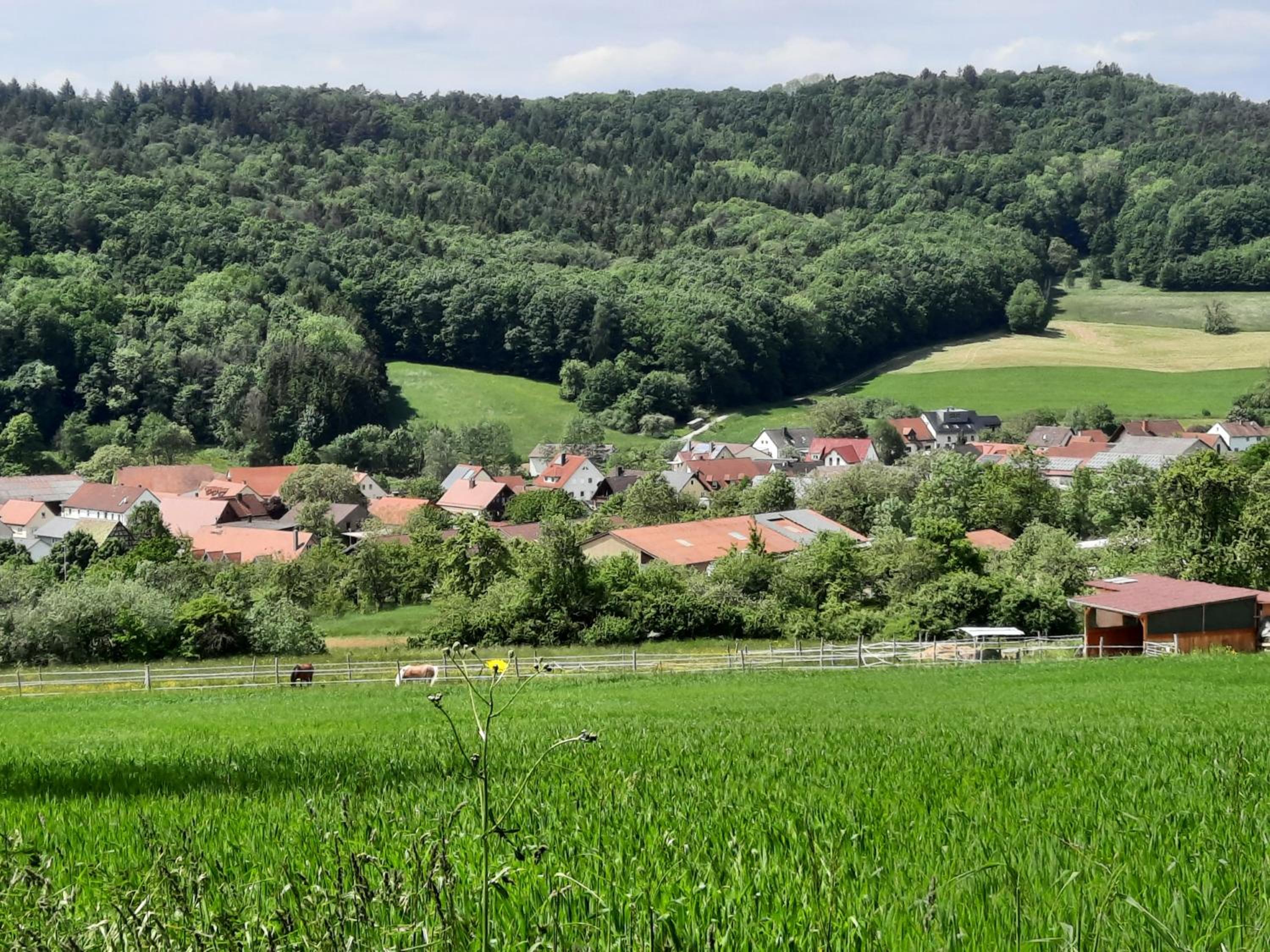 FeWo Zieger - Urlaub in Franken