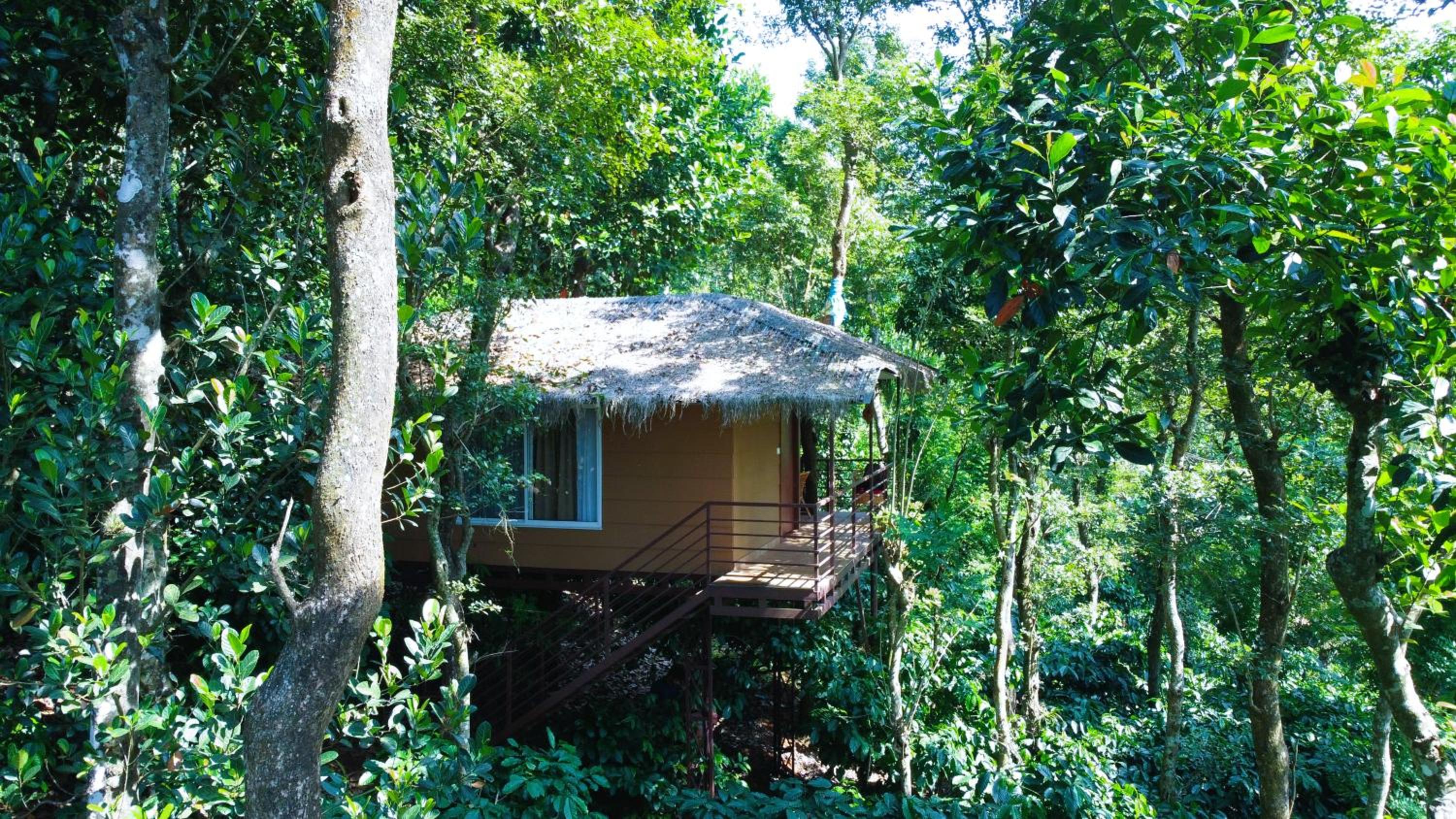 Coffee Cradle Wayanad Luxuorios Private Tree House - Inside 2 Acre Coffee Plantation view 3