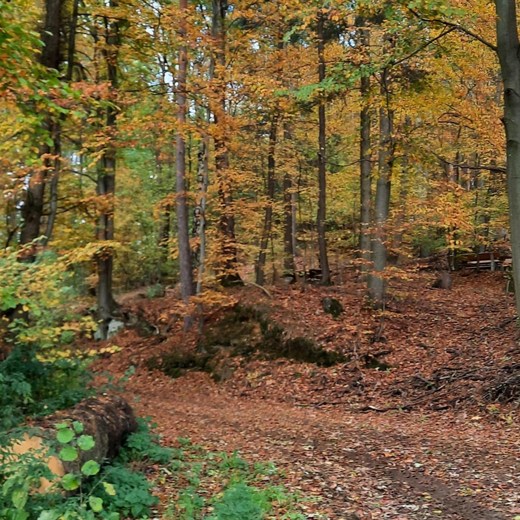 FeWo Zieger - Urlaub in Franken