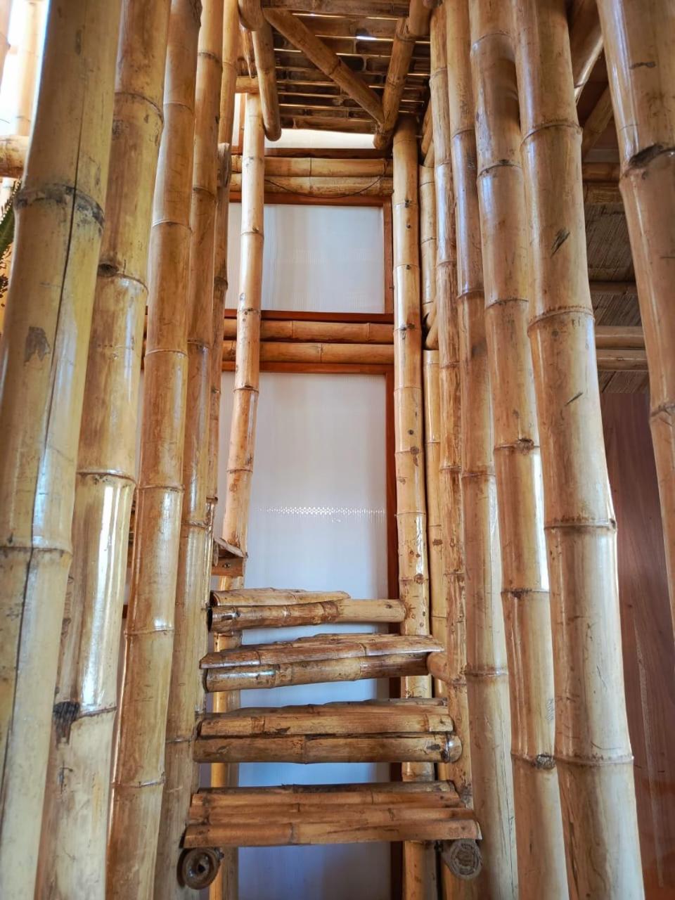 Casa Bambú Galápagos
