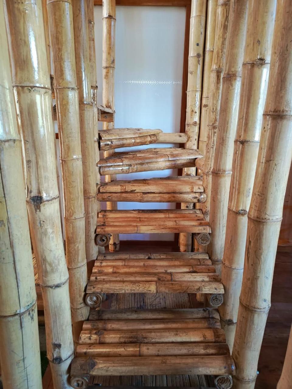 Casa Bambú Galápagos