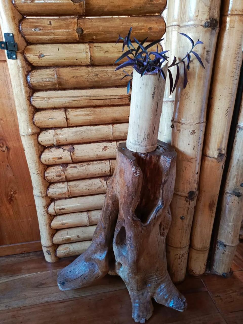 Casa Bambú Galápagos