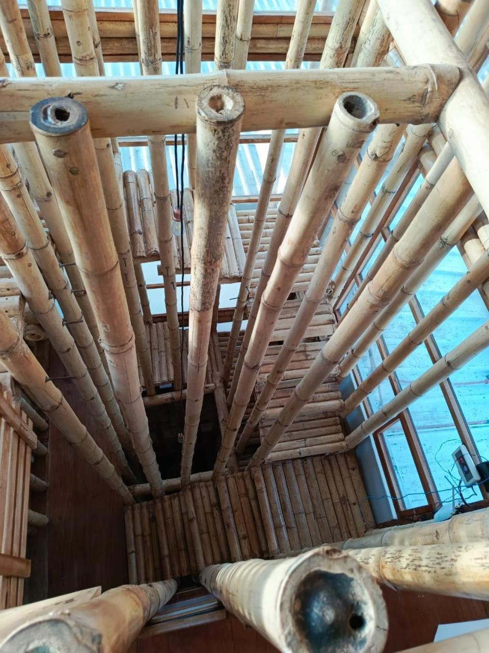 Casa Bambú Galápagos