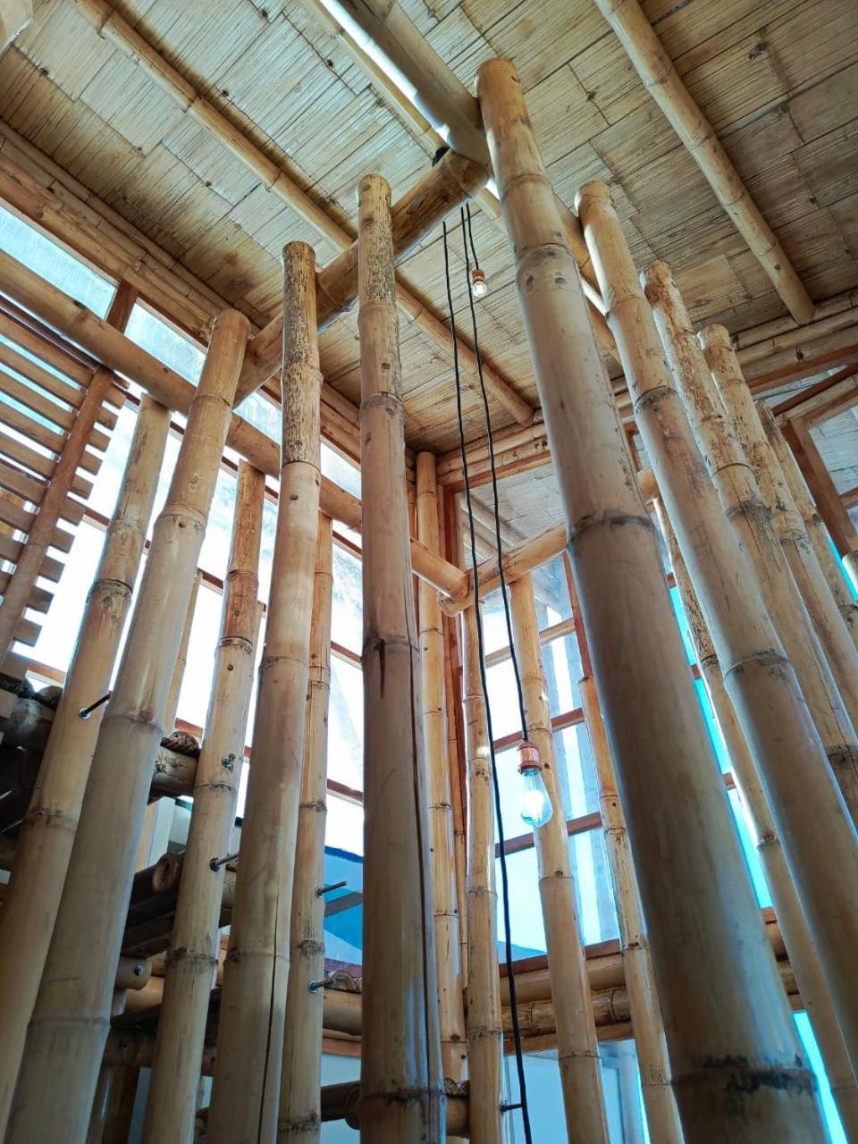 Casa Bambú Galápagos