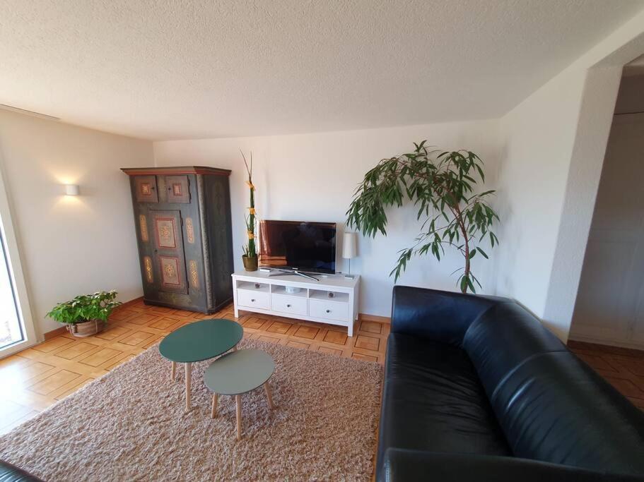 Apartment in Swiss Chalet Träumli
