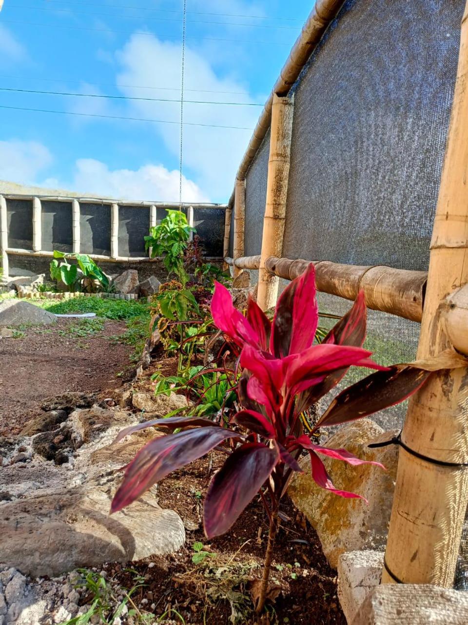 Casa Bambú Galápagos