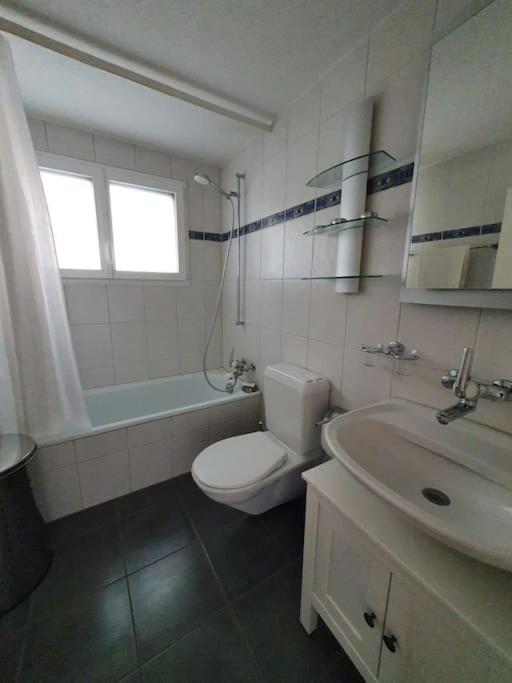 Apartment in Swiss Chalet Träumli