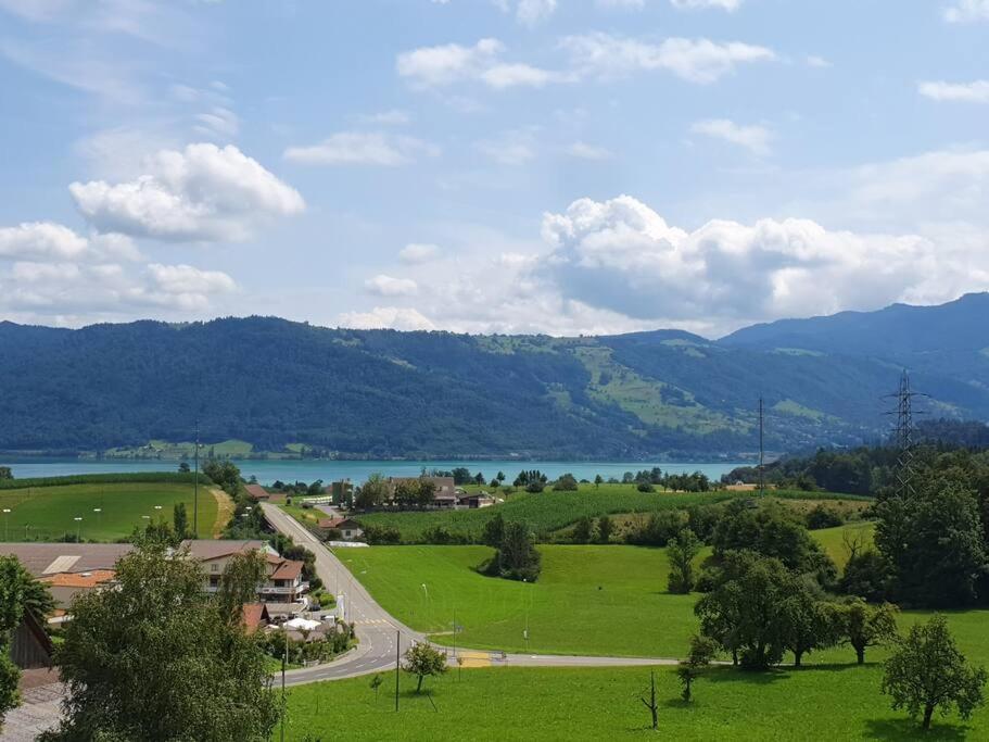 Apartment in Swiss Chalet Träumli