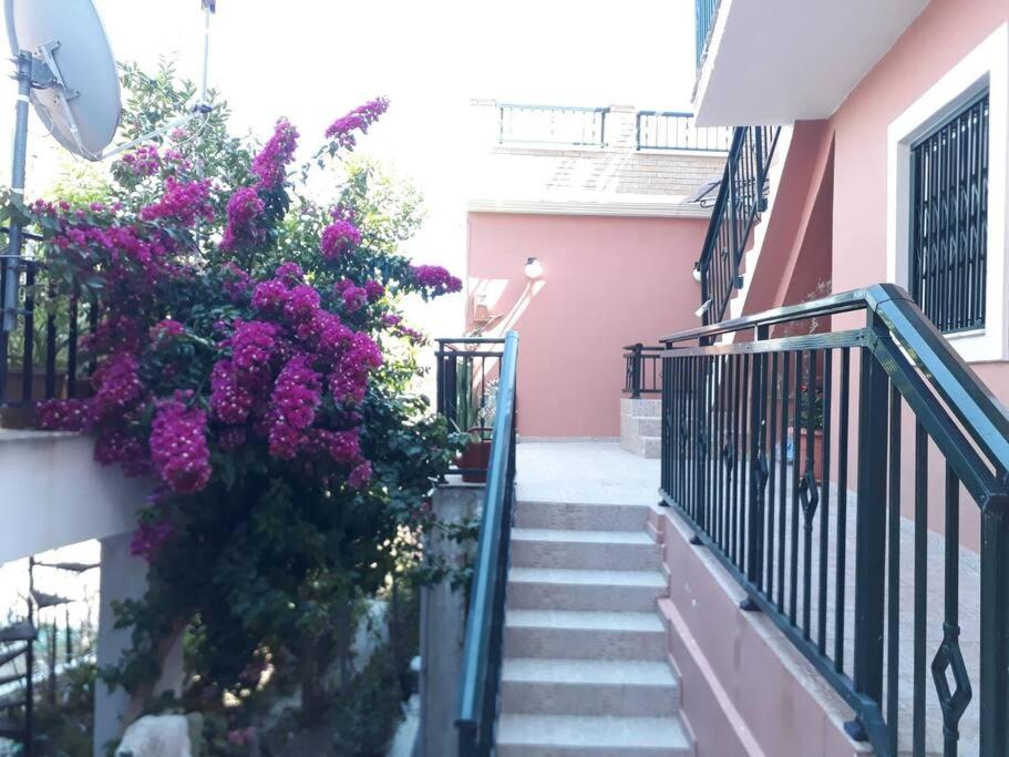 Hotel Studio Anna - Image 1