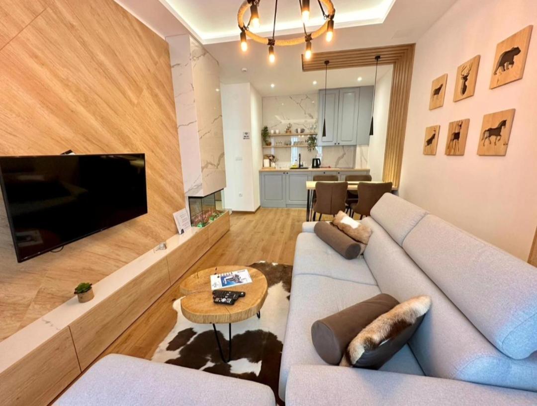 Apartman Drvorez-direktno na ski stazi view 4