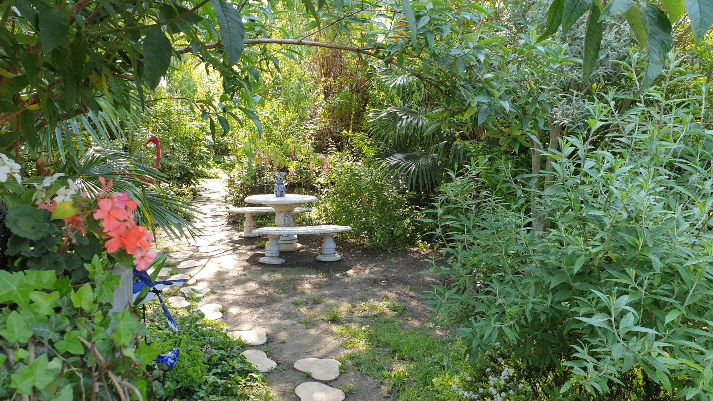 Photo 19