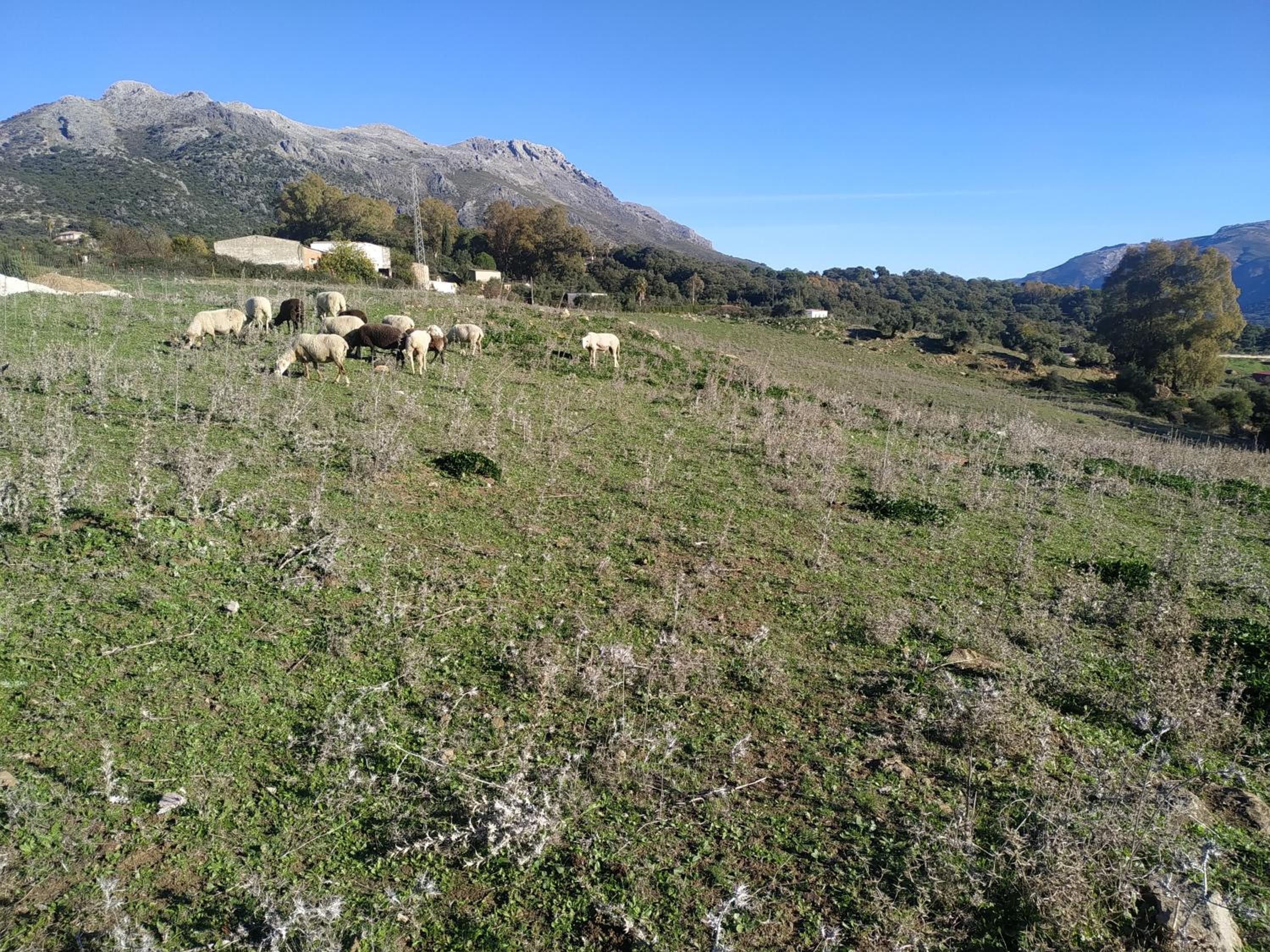 Apartamento Valle del Guadiaro