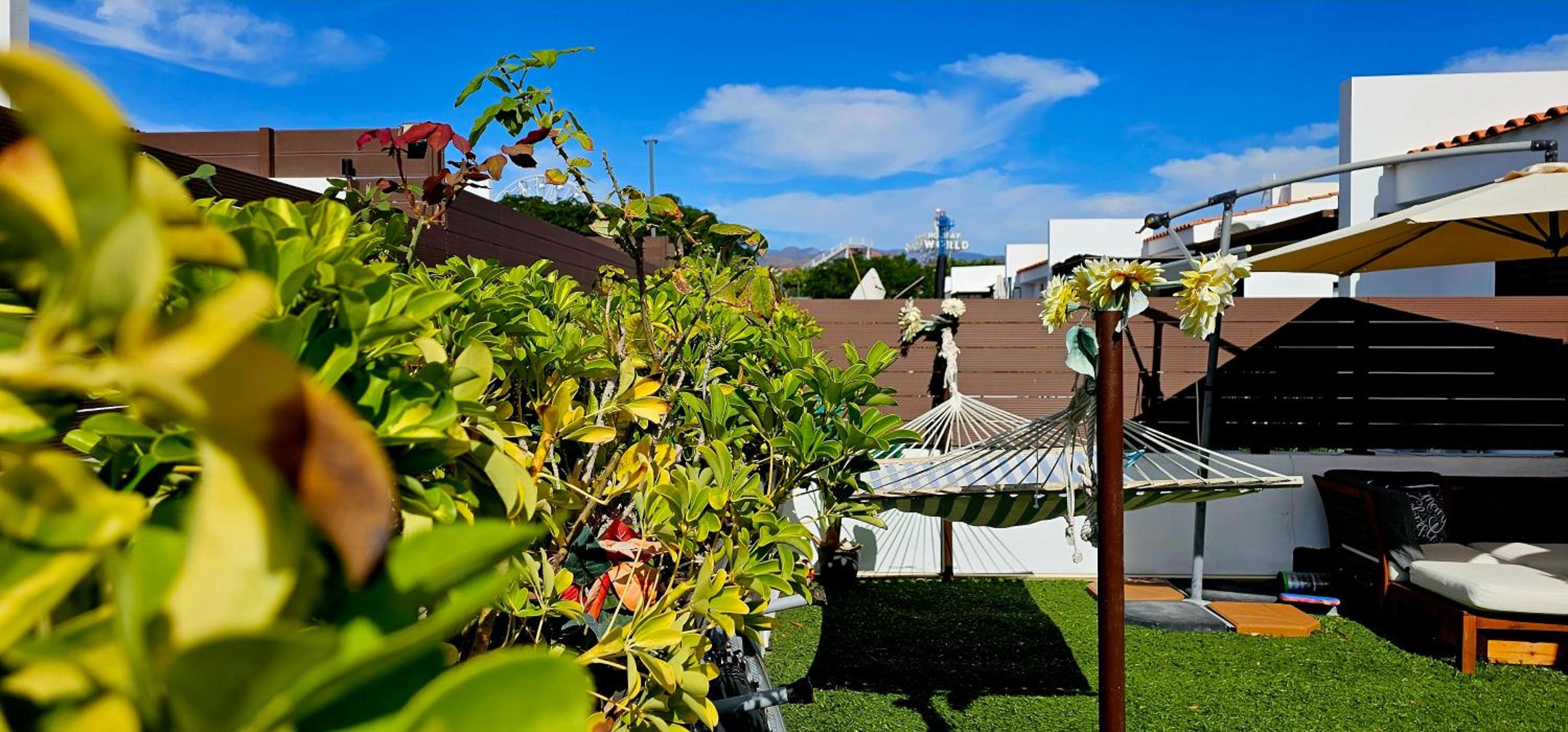 roof