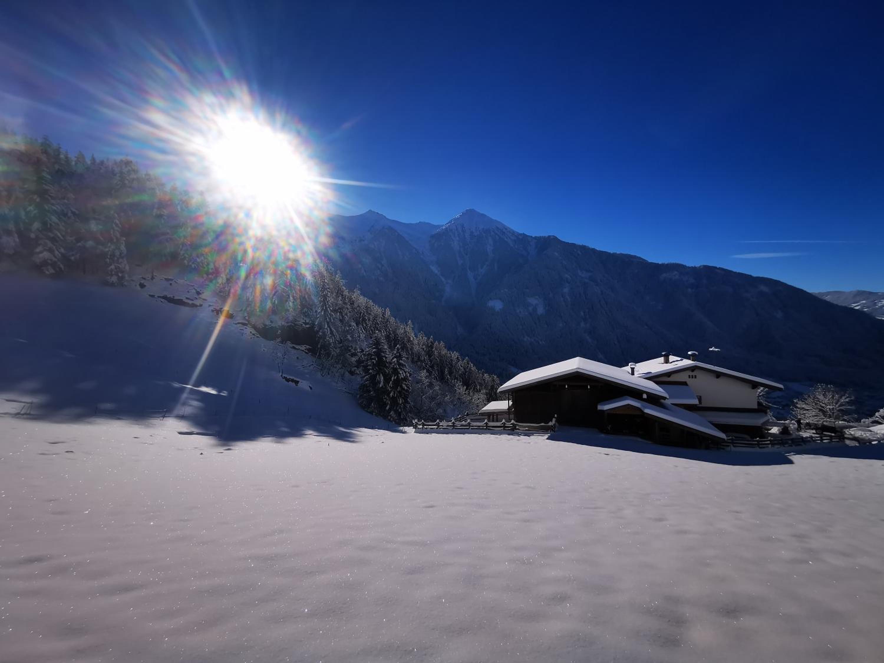 Wieserhof Tirol