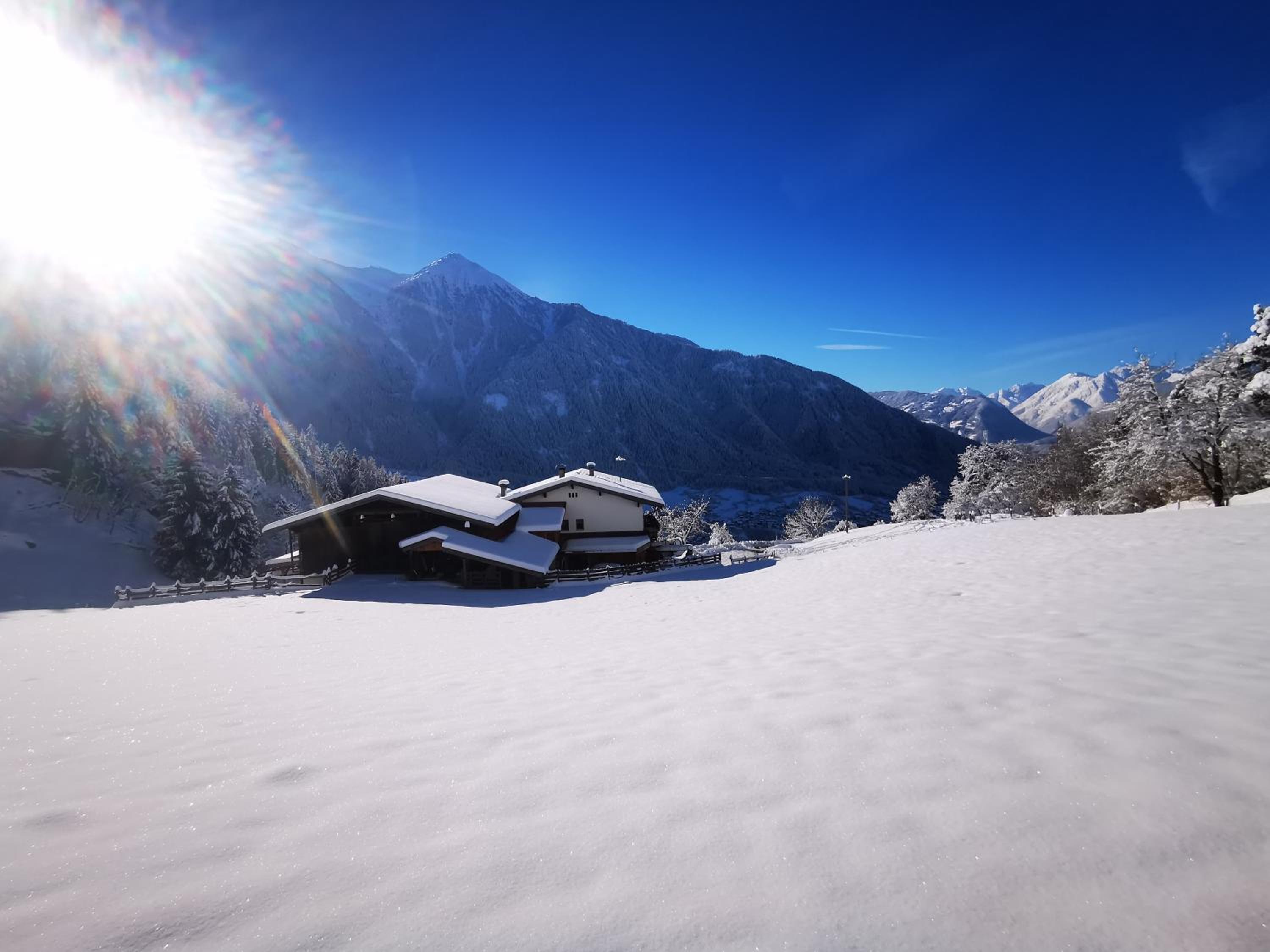 Wieserhof Tirol