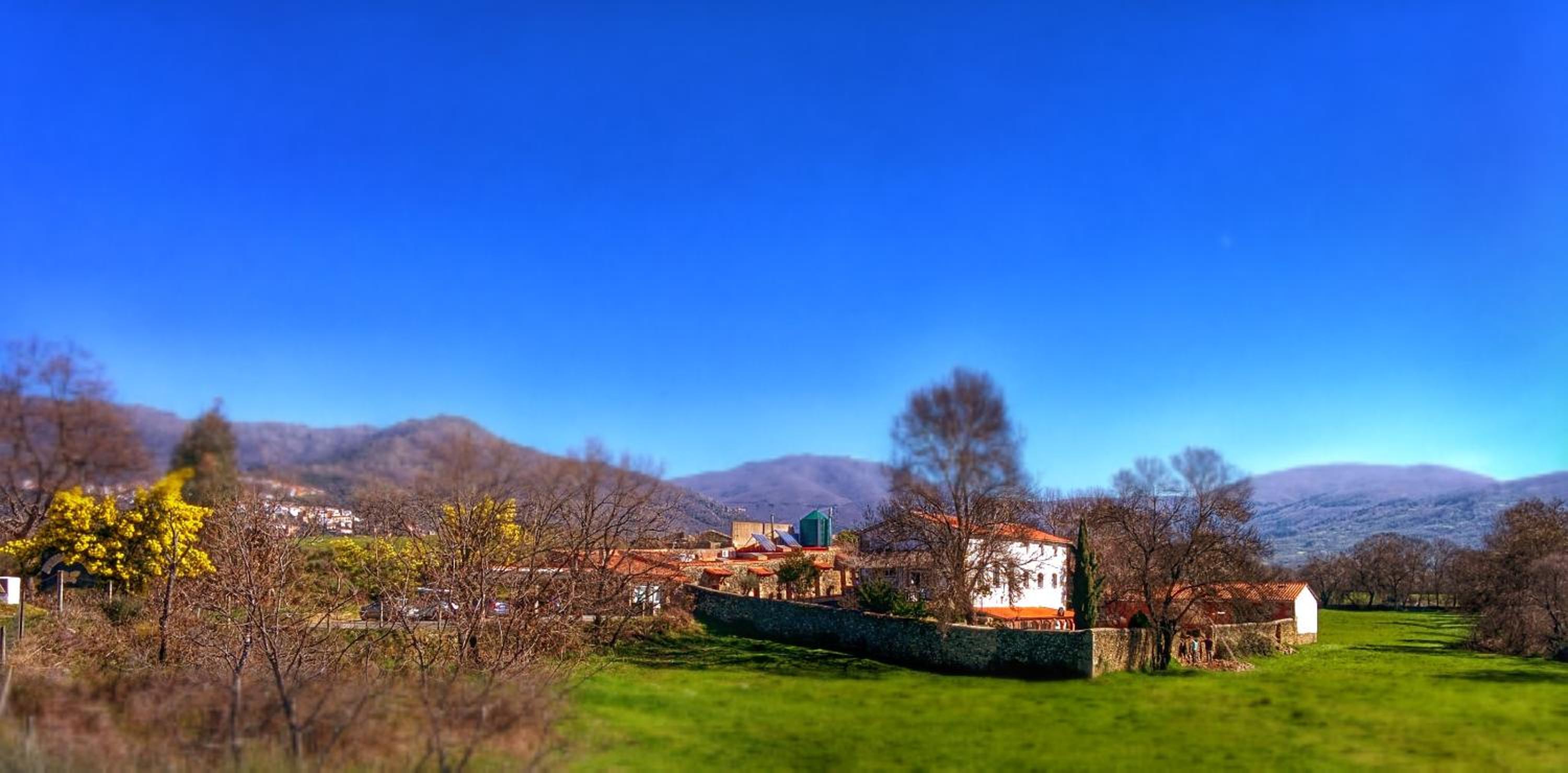 Almazara de San Pedro