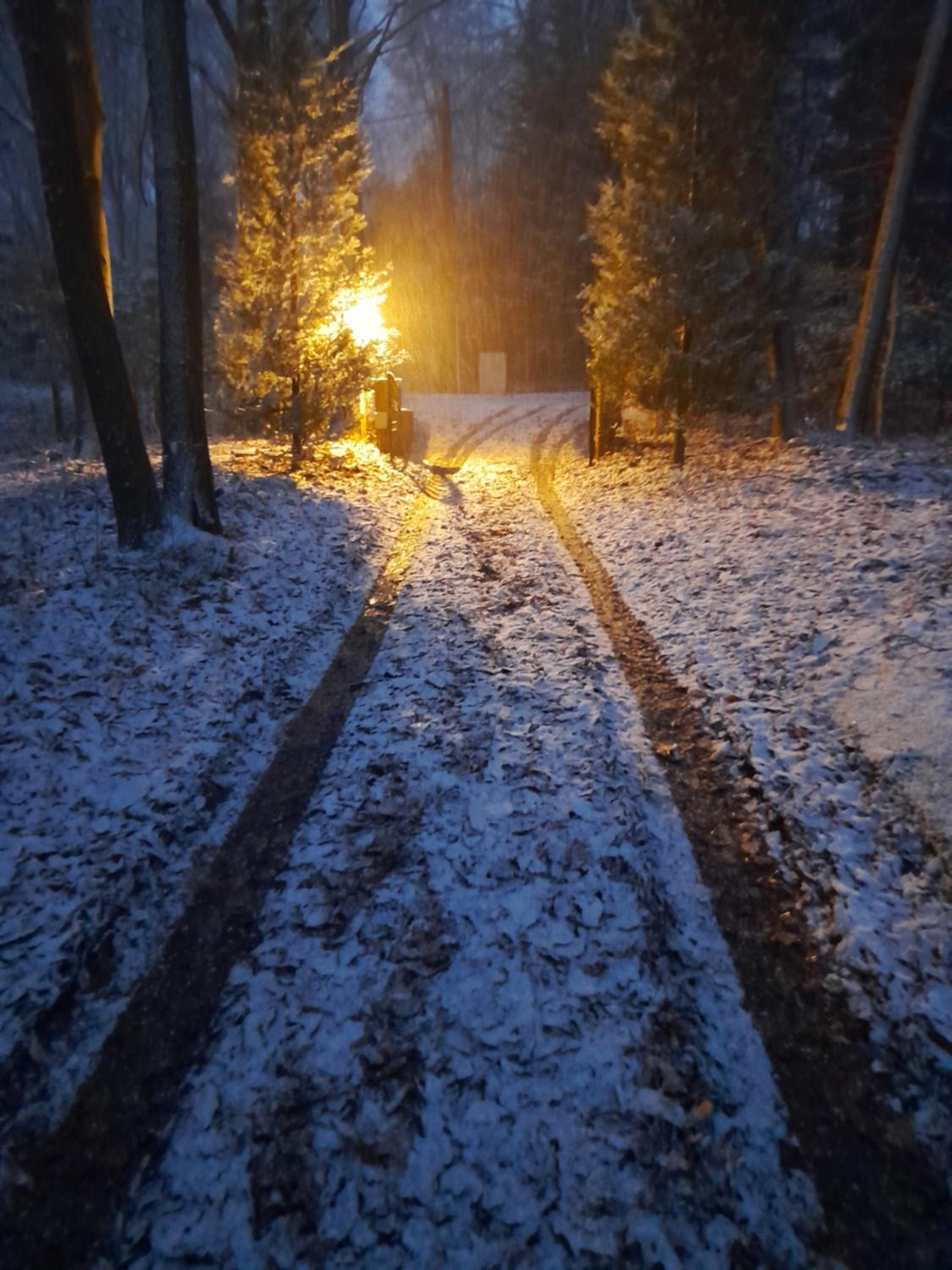 Kokoon in 't groen