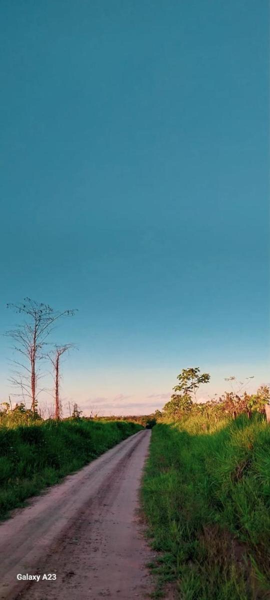 Photo 25