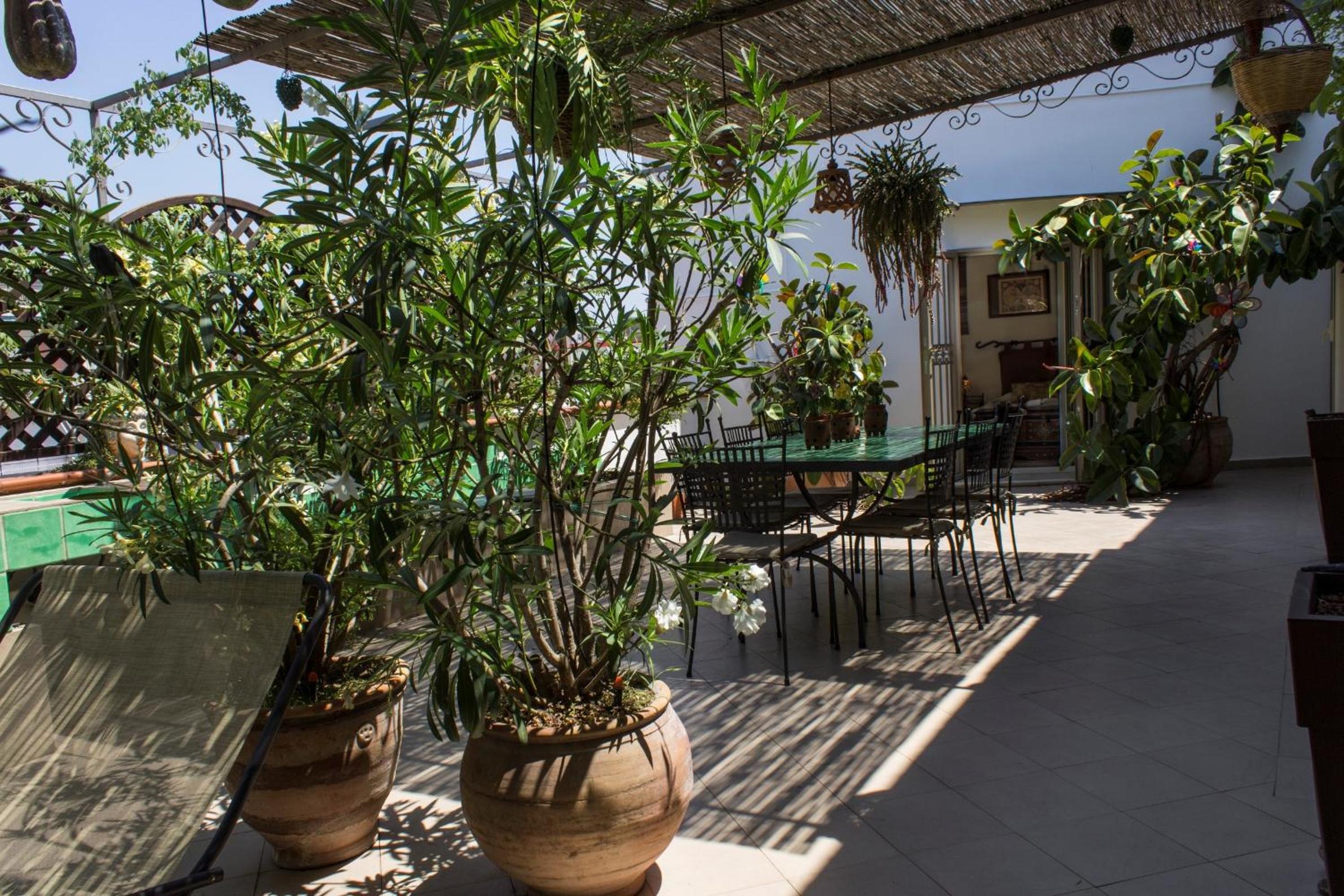 Cerasiello en Naples — balance & terrace