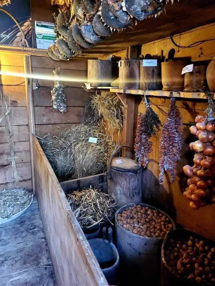 Zanduri House