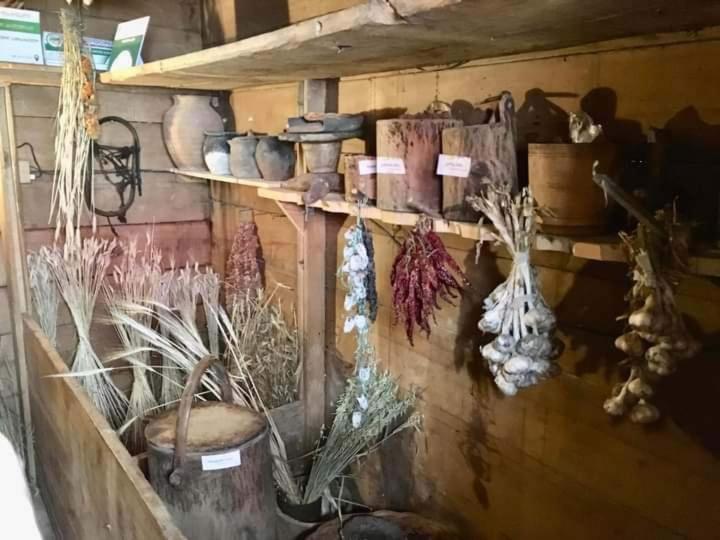 Zanduri House
