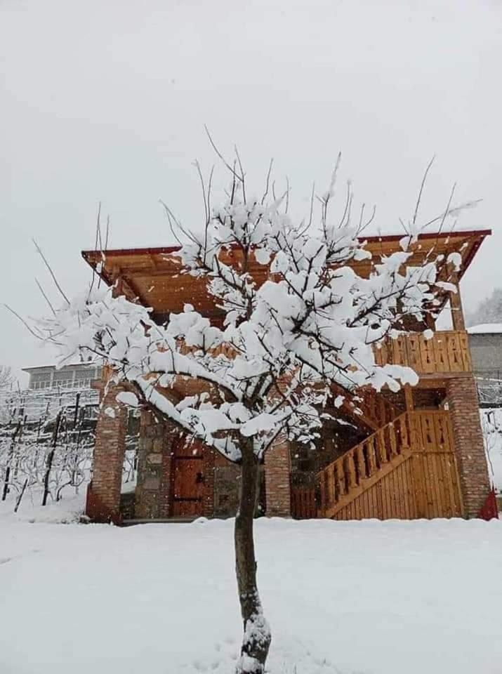 Zanduri House