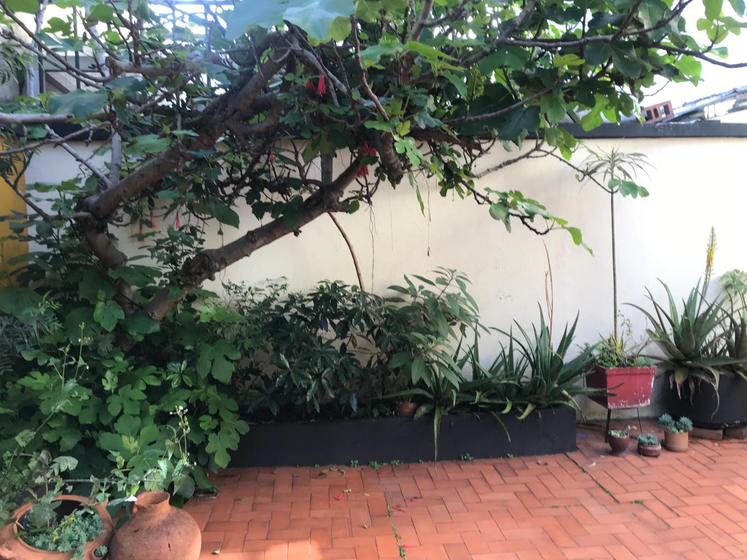other
