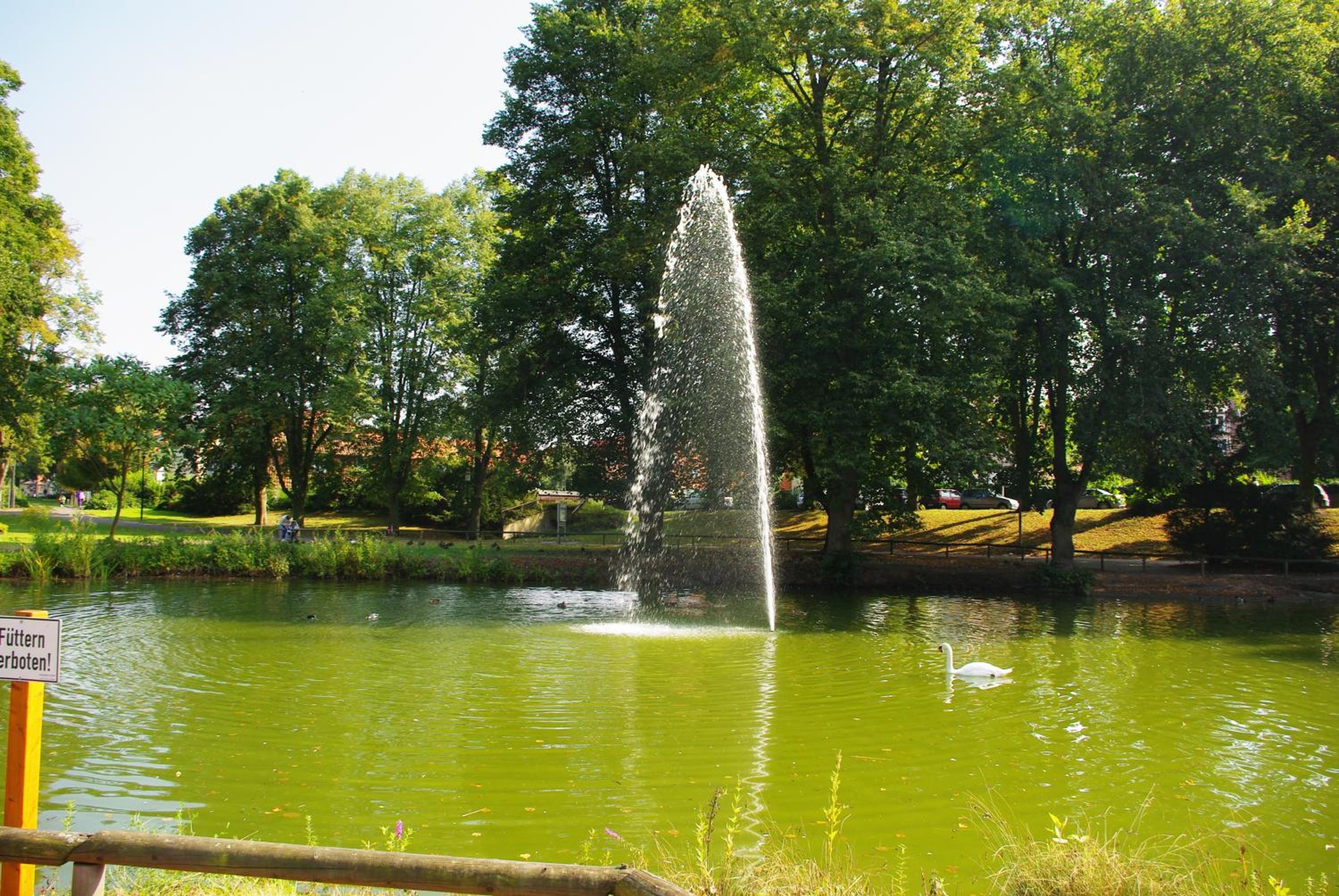Ulrike's Pension am Kurpark view 3